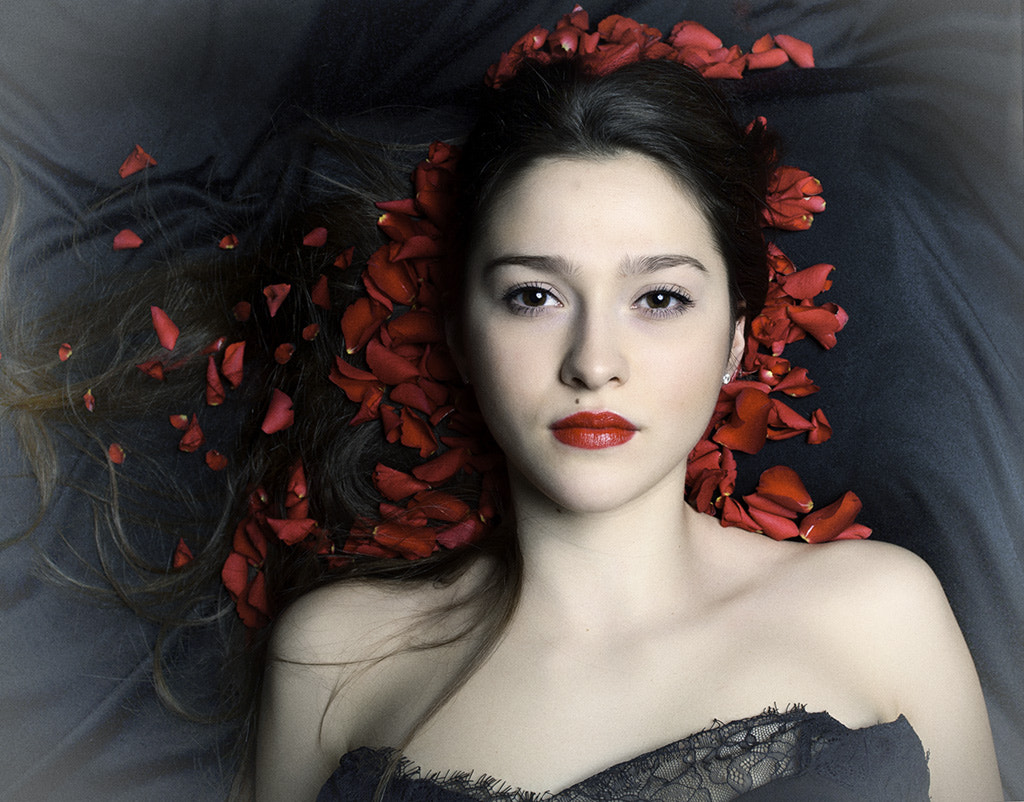 Sigma 24-70mm F2.8 EX DG Macro sample photo. Rose petals photography