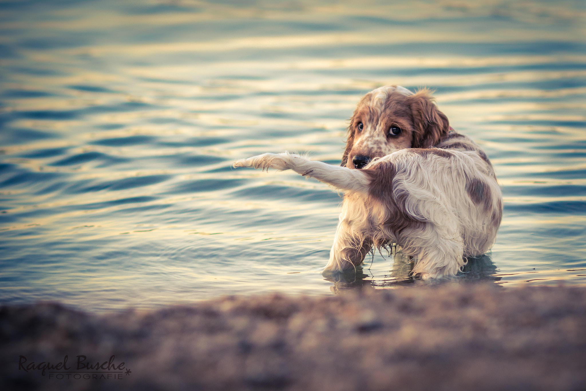 Canon EOS 7D Mark II + Canon EF 135mm F2L USM sample photo. El primer baño de camilo... photography