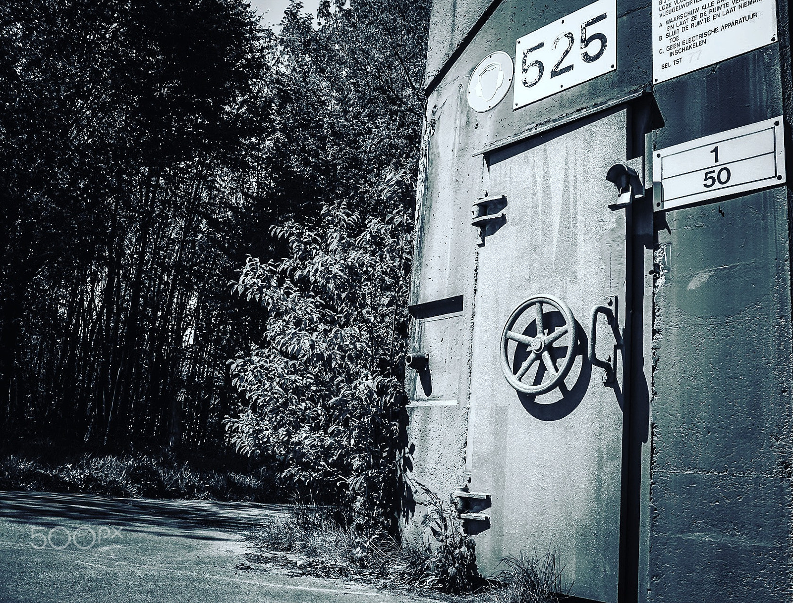 Canon EF-S 18-55mm F3.5-5.6 IS II sample photo. Secret door in nature photography