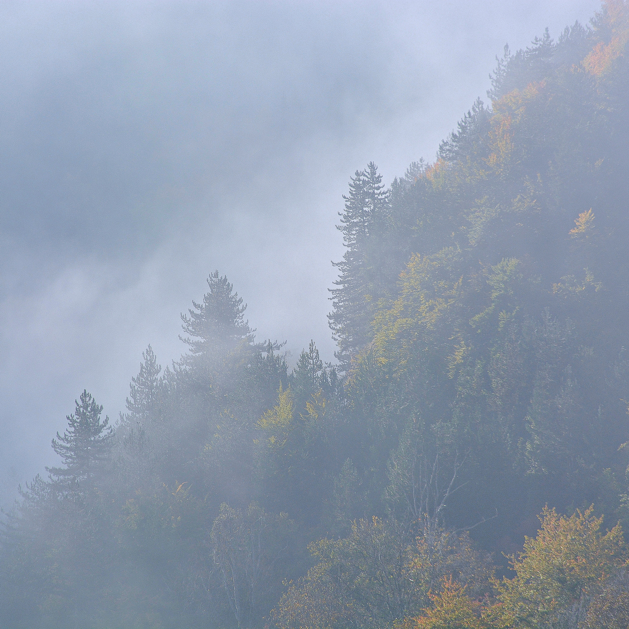 Sigma 120-400mm F4.5-5.6 DG OS HSM sample photo
