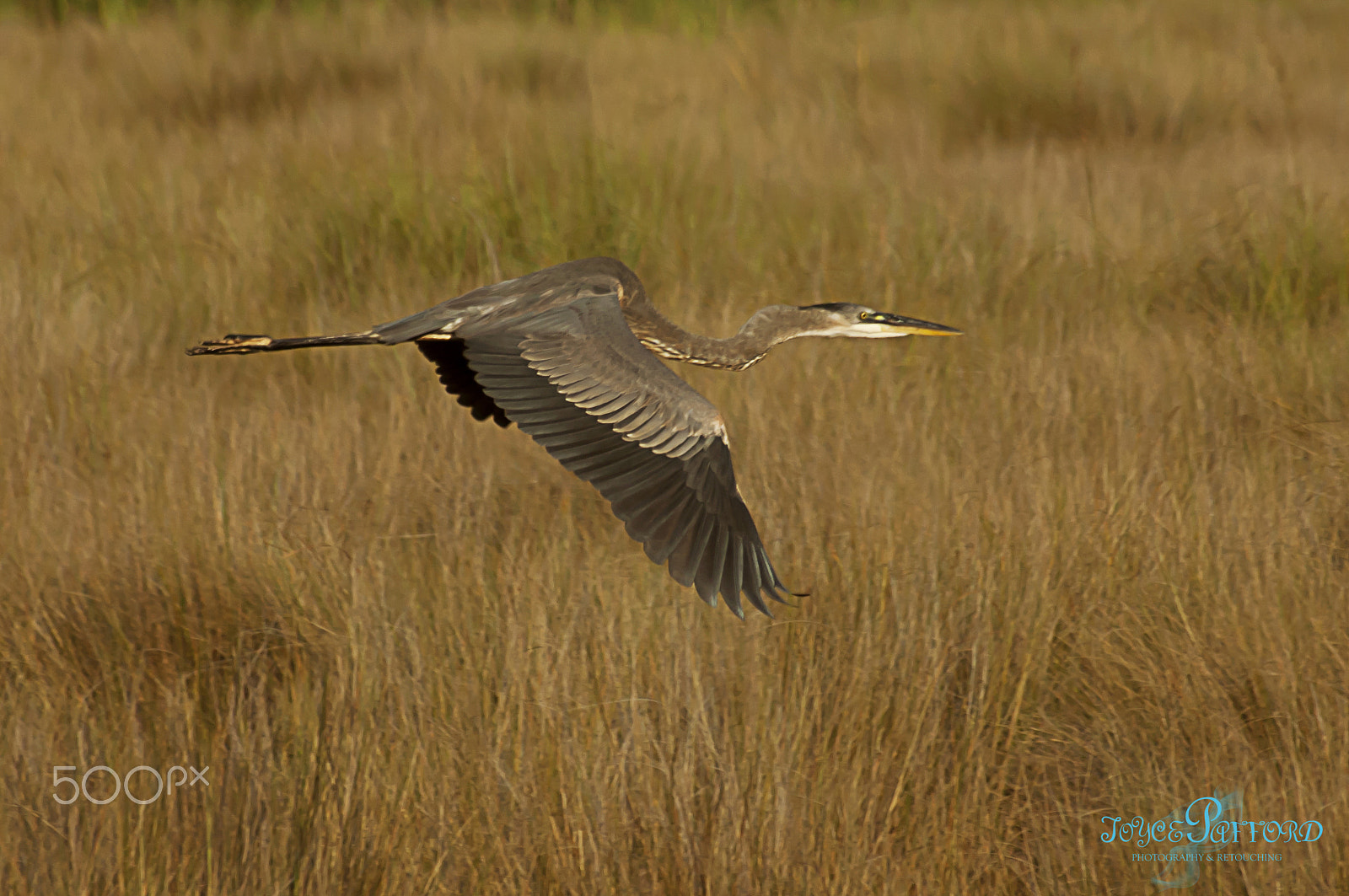 Nikon D50 + Tamron SP 70-300mm F4-5.6 Di VC USD sample photo. In flight photography