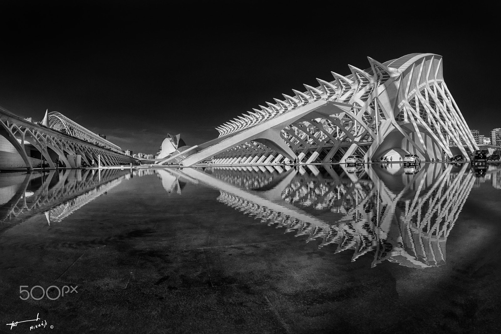 Nikon D7100 + Sigma 10mm F2.8 EX DC HSM Diagonal Fisheye sample photo. City of arts and sciences photography