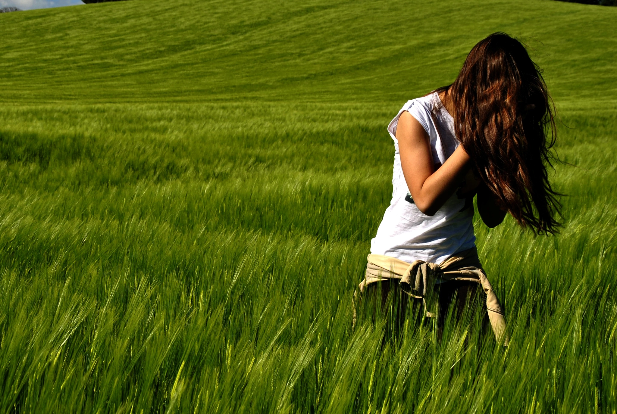 Nikon D3000 sample photo. Blowin' in the wind photography