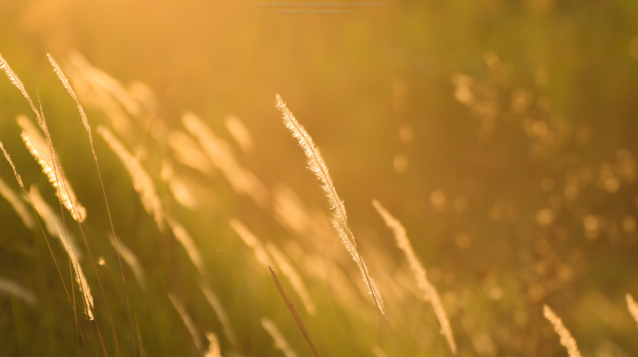 Tamron SP 35mm F1.8 Di VC USD sample photo. Dawn photography