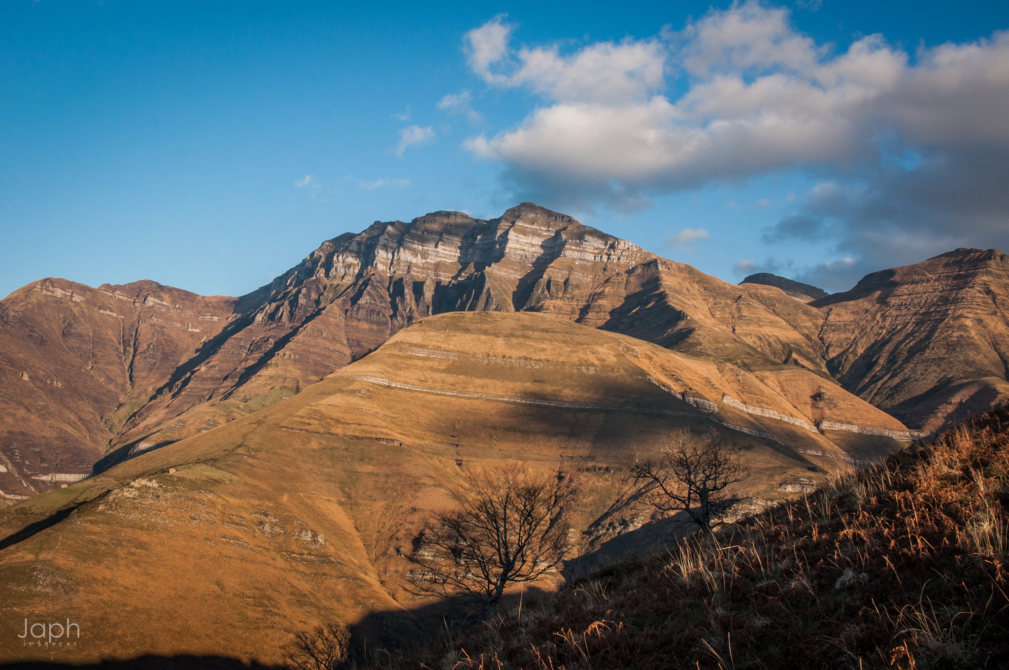 Sigma 17-35mm F2.8-4 EX DG  Aspherical HSM sample photo. Autumn in monte las garmas photography