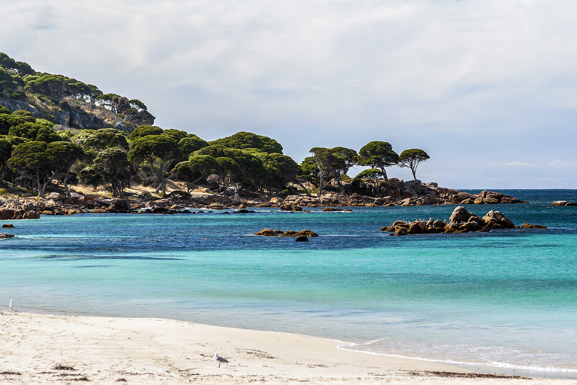 Canon EOS 30D + Canon EF 24-105mm F4L IS USM sample photo. Peaceful beach in western australia photography