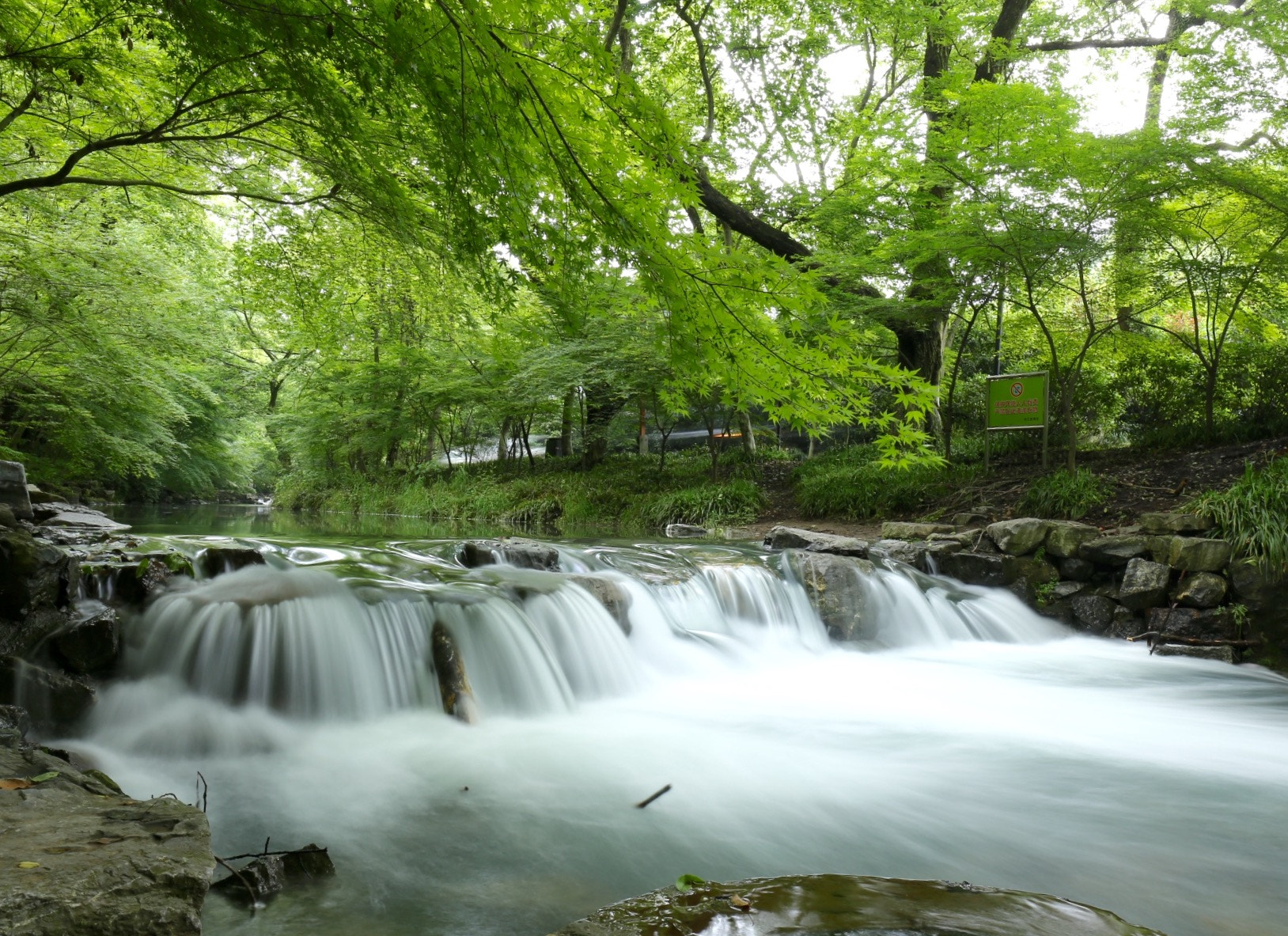 Canon EF 16-35mm F4L IS USM sample photo