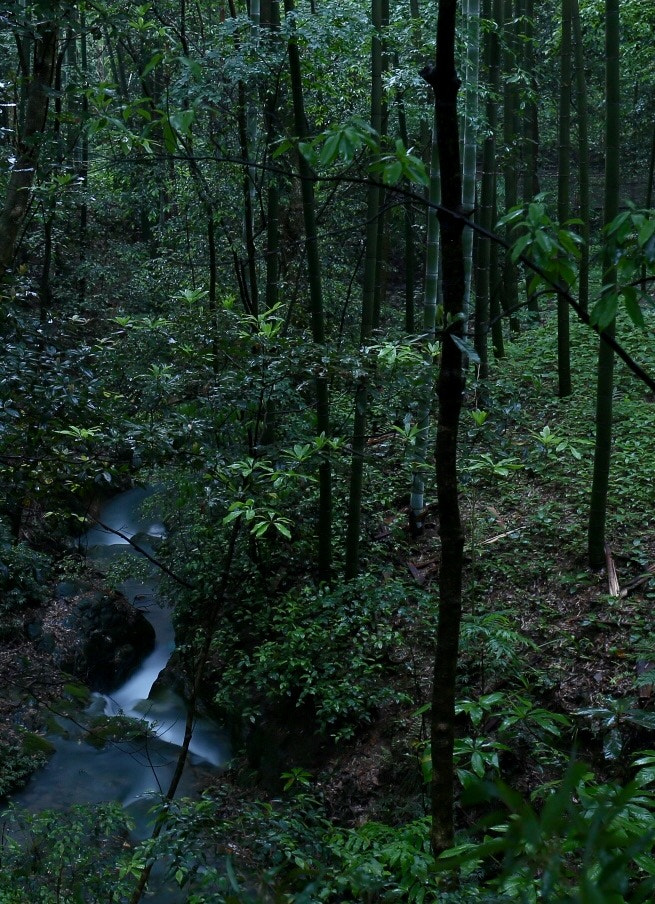 Canon EF 16-35mm F4L IS USM sample photo