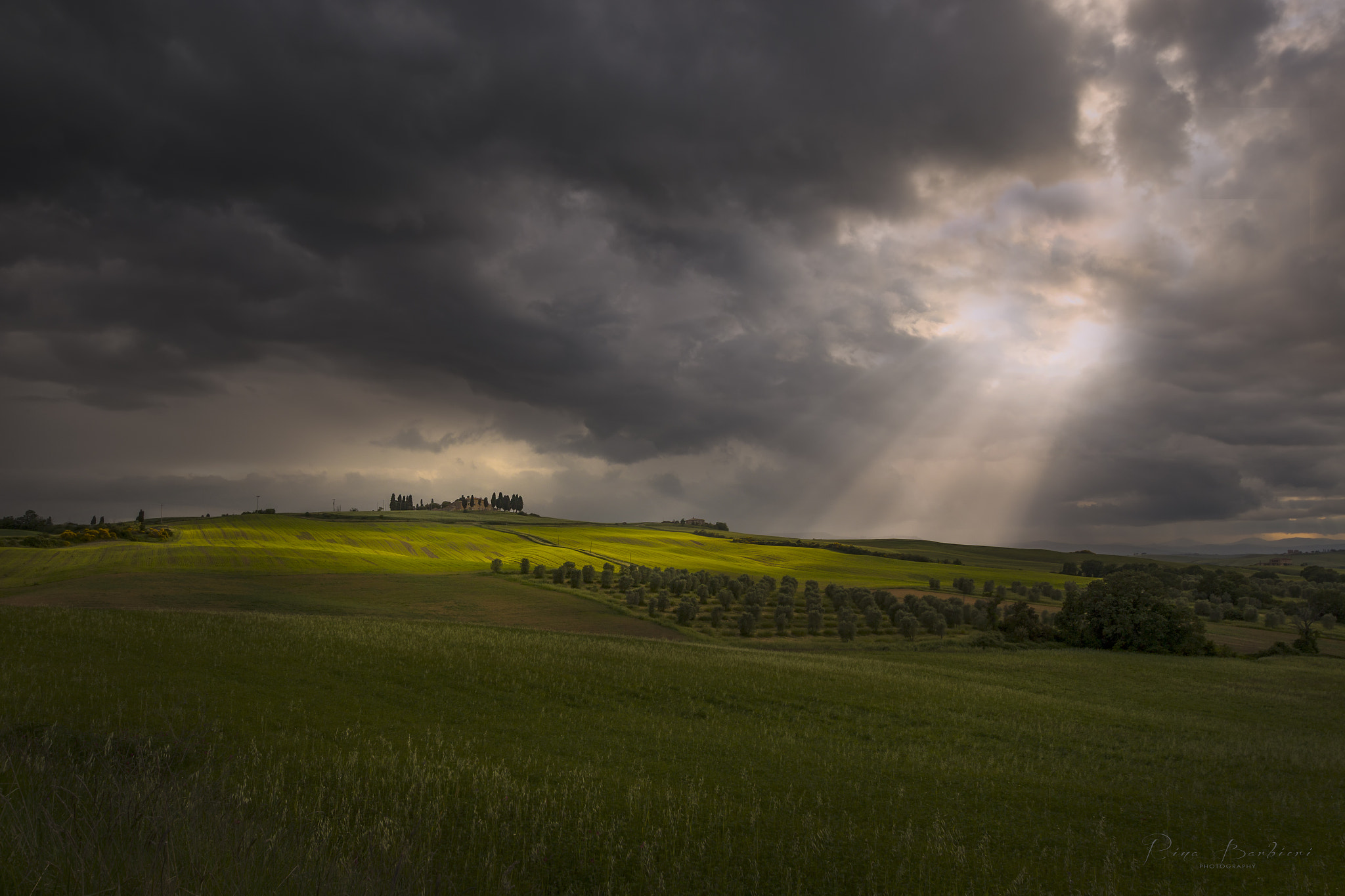 Sigma 8-16mm F4.5-5.6 DC HSM sample photo. The divine light photography