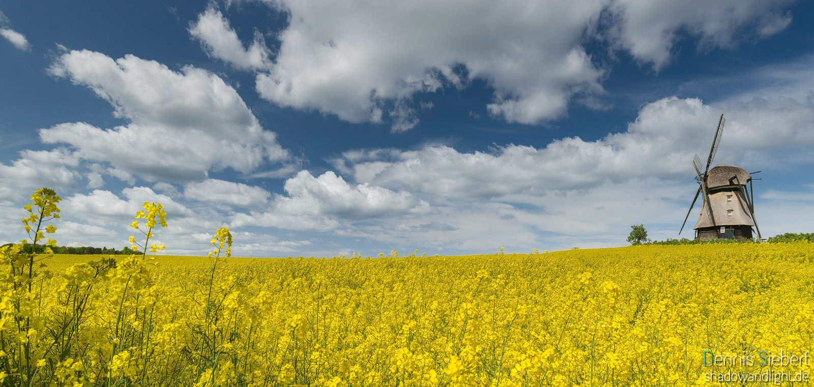 Sony a7 II + Canon EF 16-35mm F4L IS USM sample photo. Windmill photography