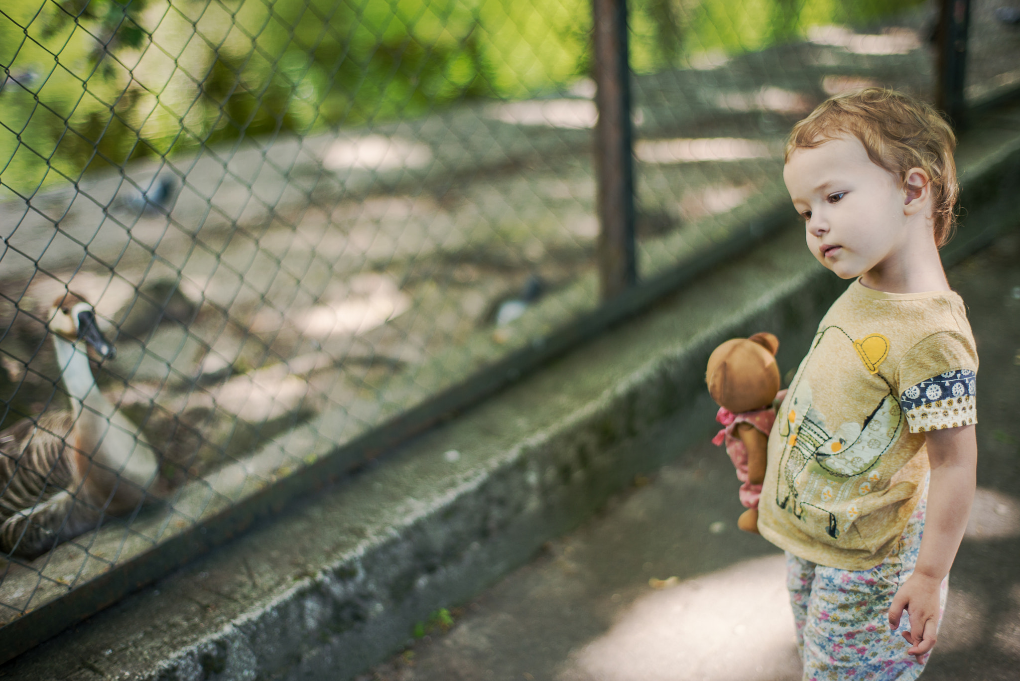 ZEISS Planar T* 50mm F1.4 sample photo. Eva photography