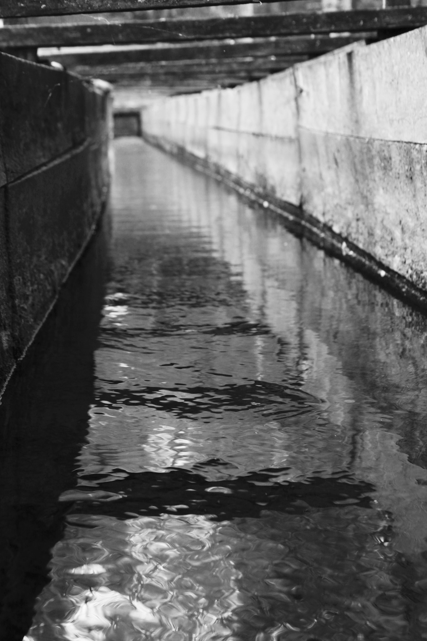 Canon EF 28-135mm F3.5-5.6 IS USM sample photo. Sluice at cables mill, cade's cove, tn #1 photography