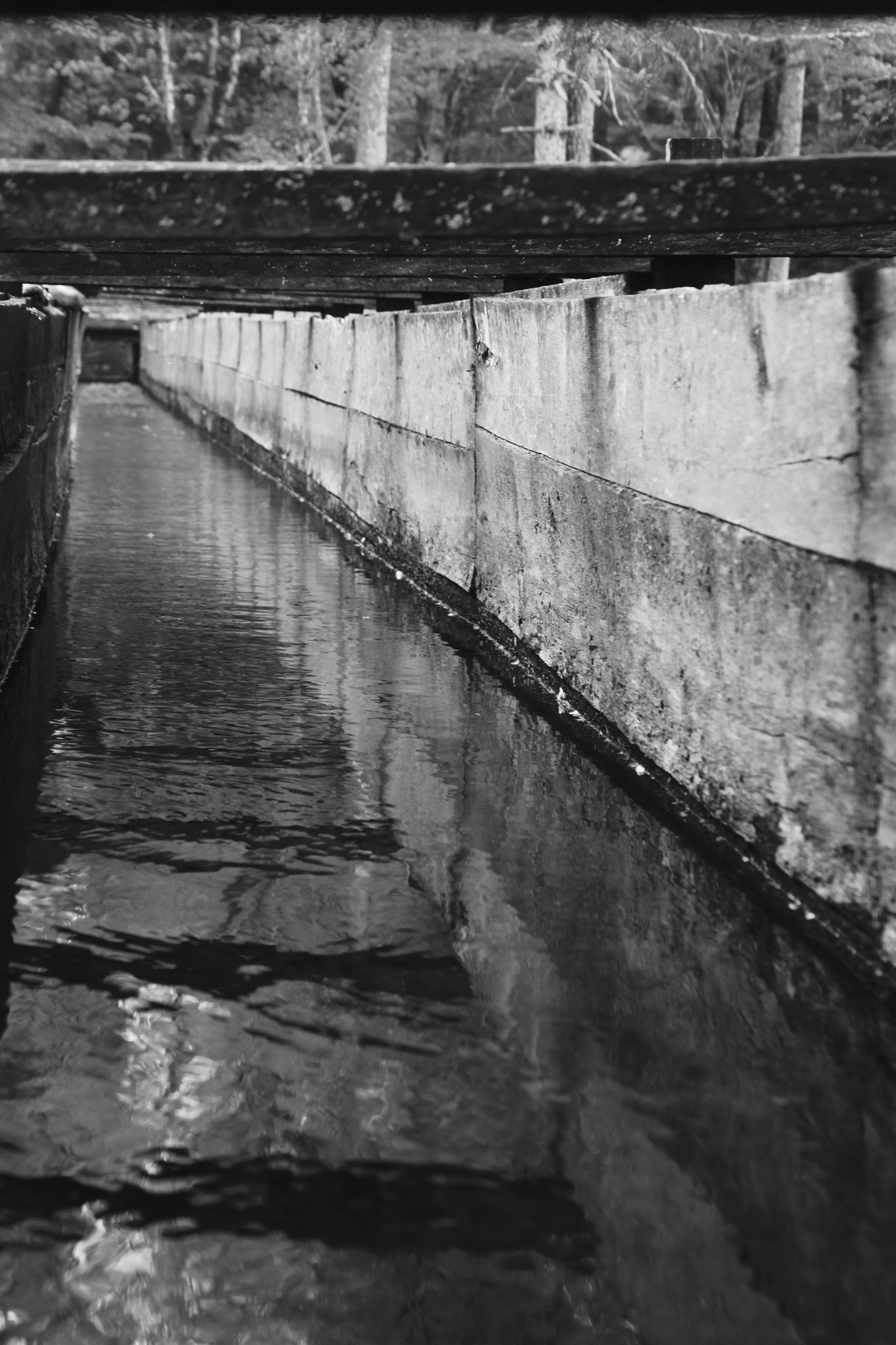 Canon EF 28-135mm F3.5-5.6 IS USM sample photo. Sluice at cables mill, cade's cove, tn #2 photography