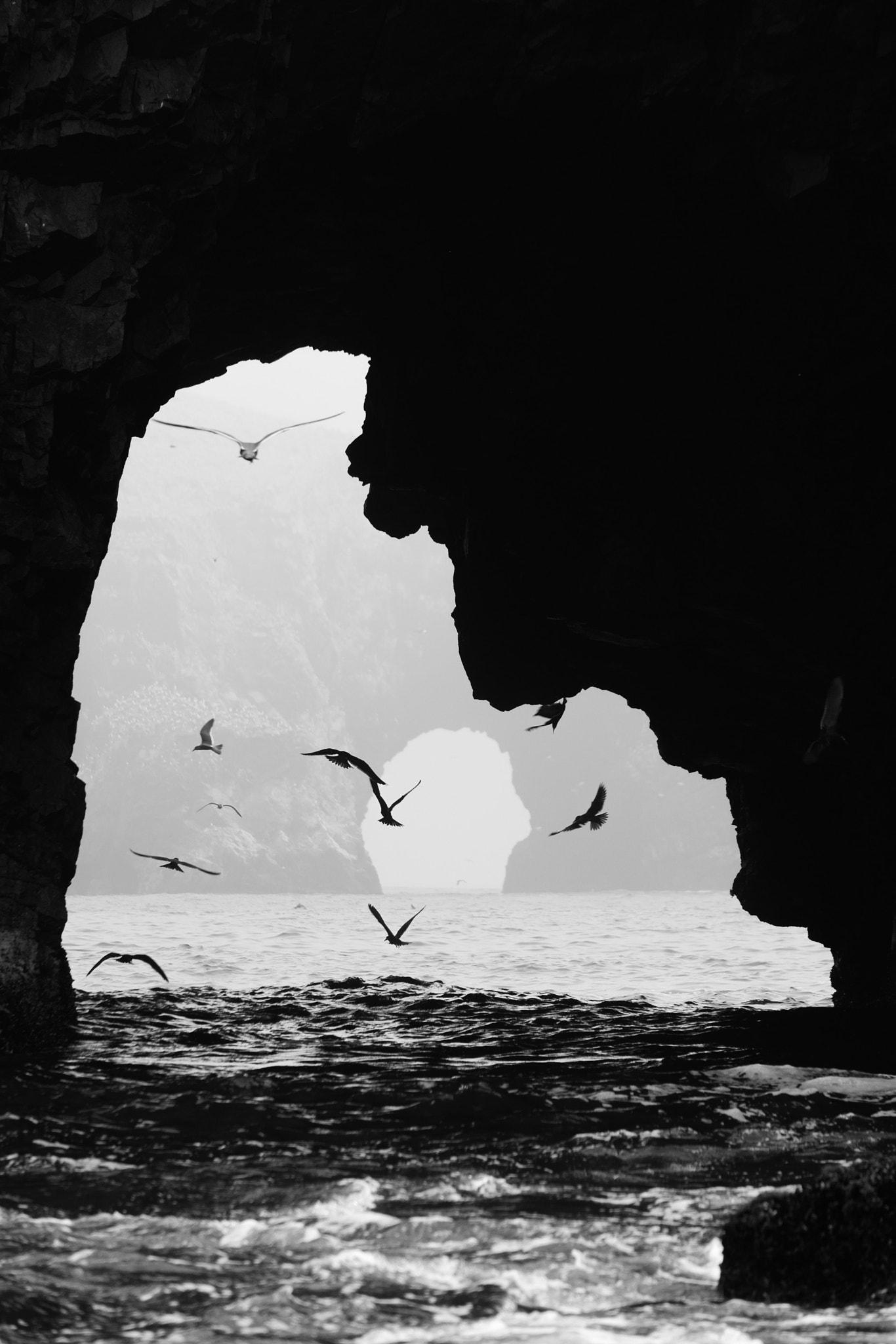 Fujifilm X-T10 + Fujifilm XC 50-230mm F4.5-6.7 OIS II sample photo. Islas ballestas - peru photography