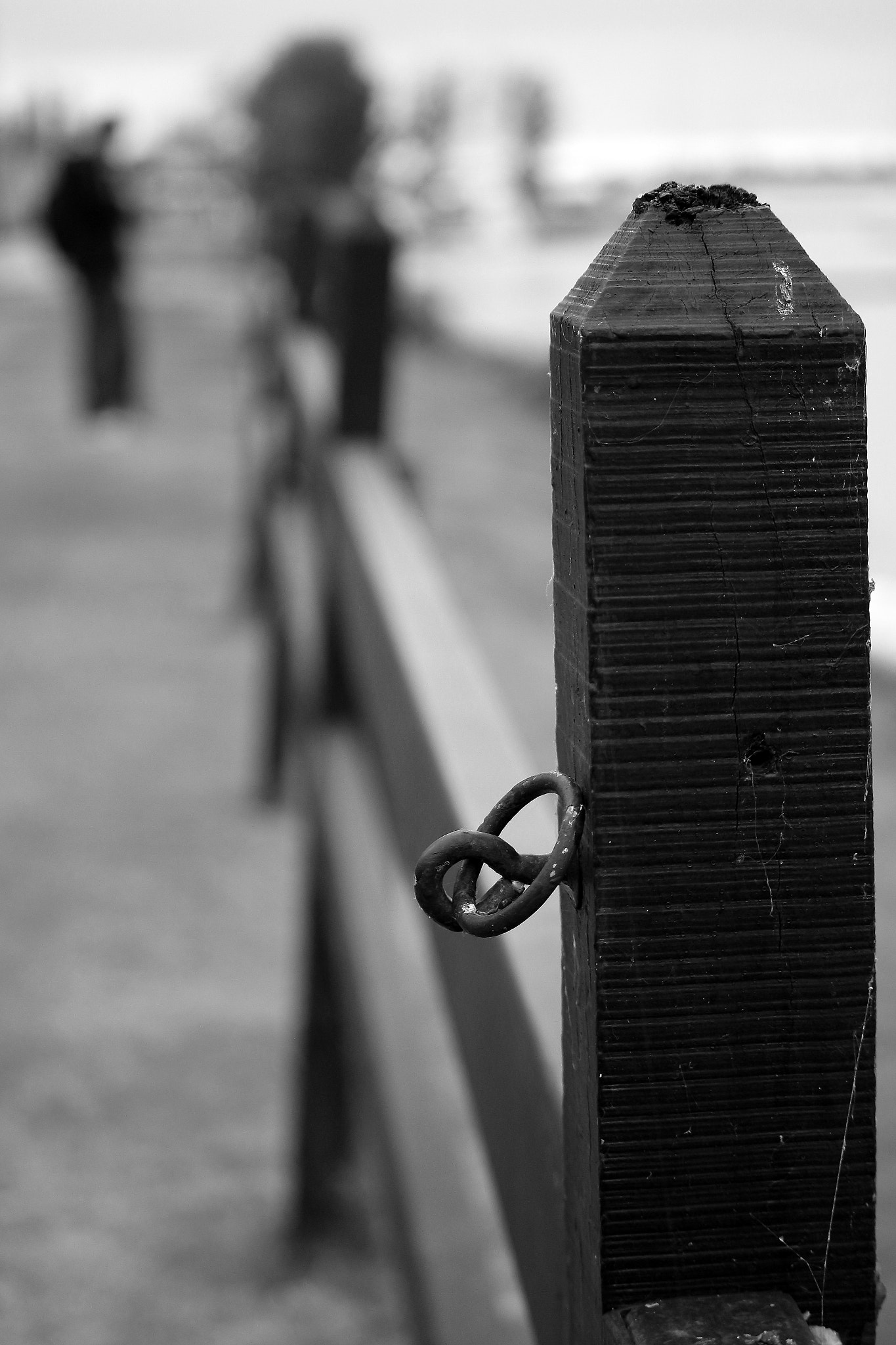 Canon EOS 650D (EOS Rebel T4i / EOS Kiss X6i) sample photo. Poste photography