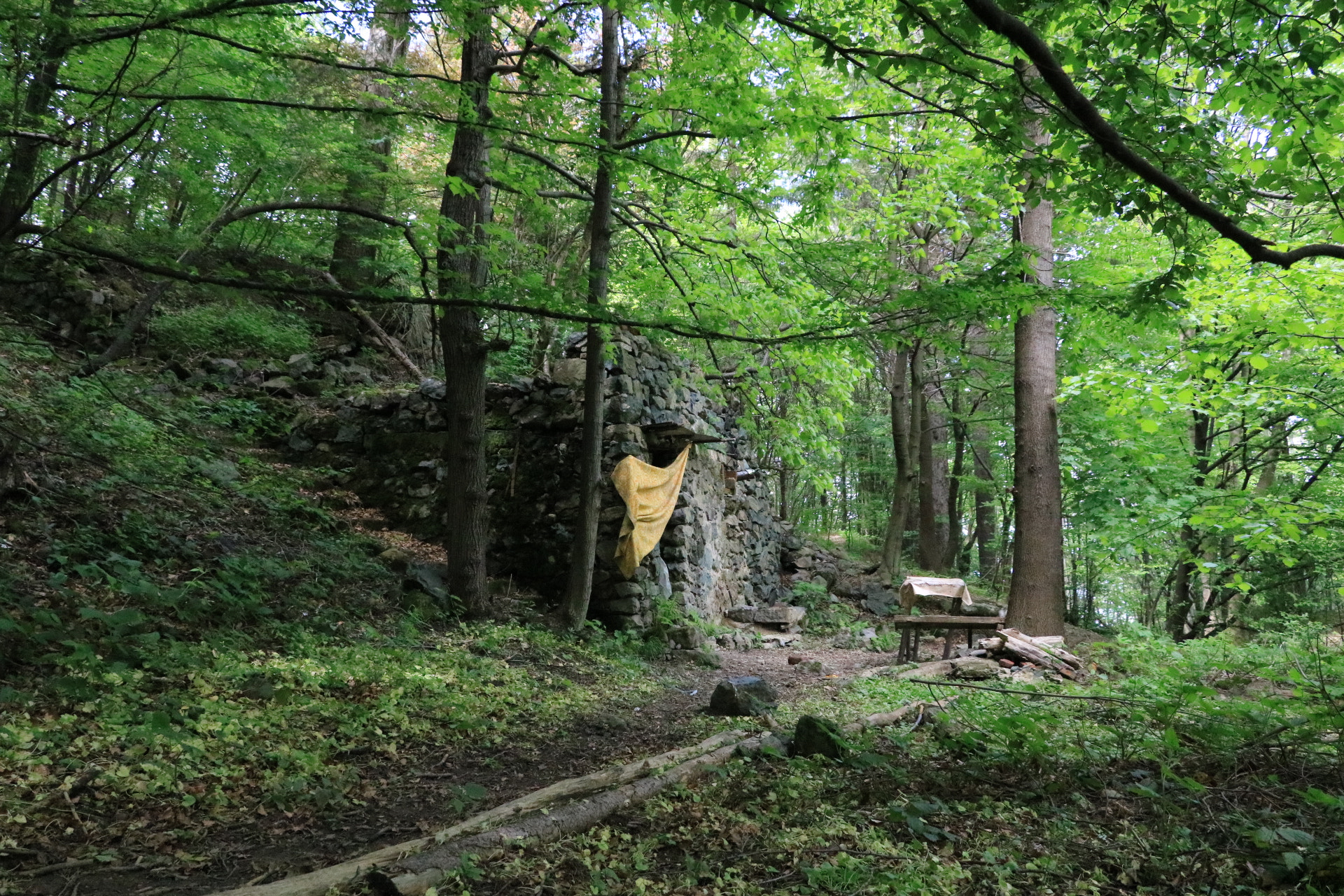 Canon EOS 750D (EOS Rebel T6i / EOS Kiss X8i) sample photo. House in the woods photography