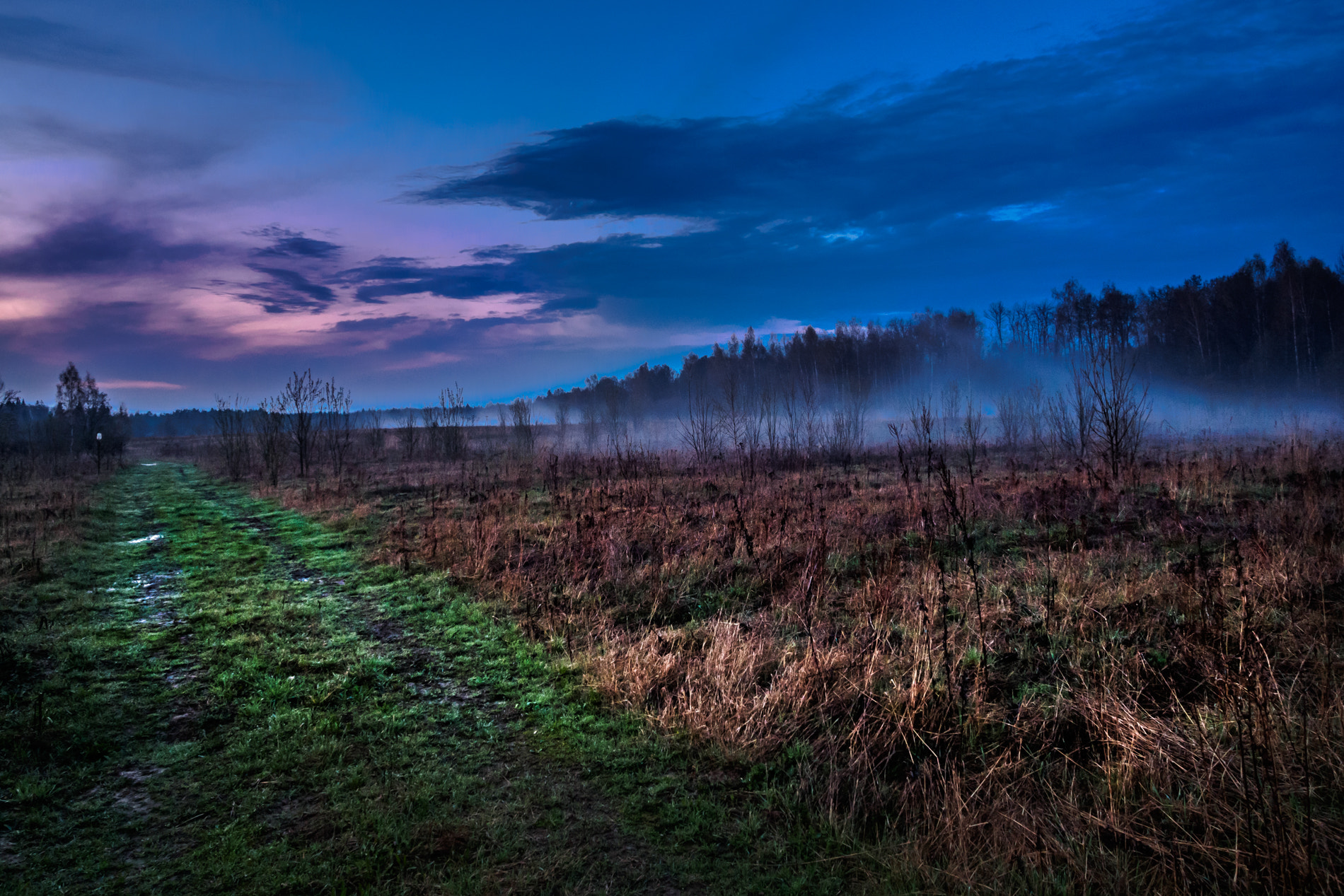 Olympus OM-D E-M10 + OLYMPUS M.12-50mm F3.5-6.3 sample photo. Fogs, road and sunset photography