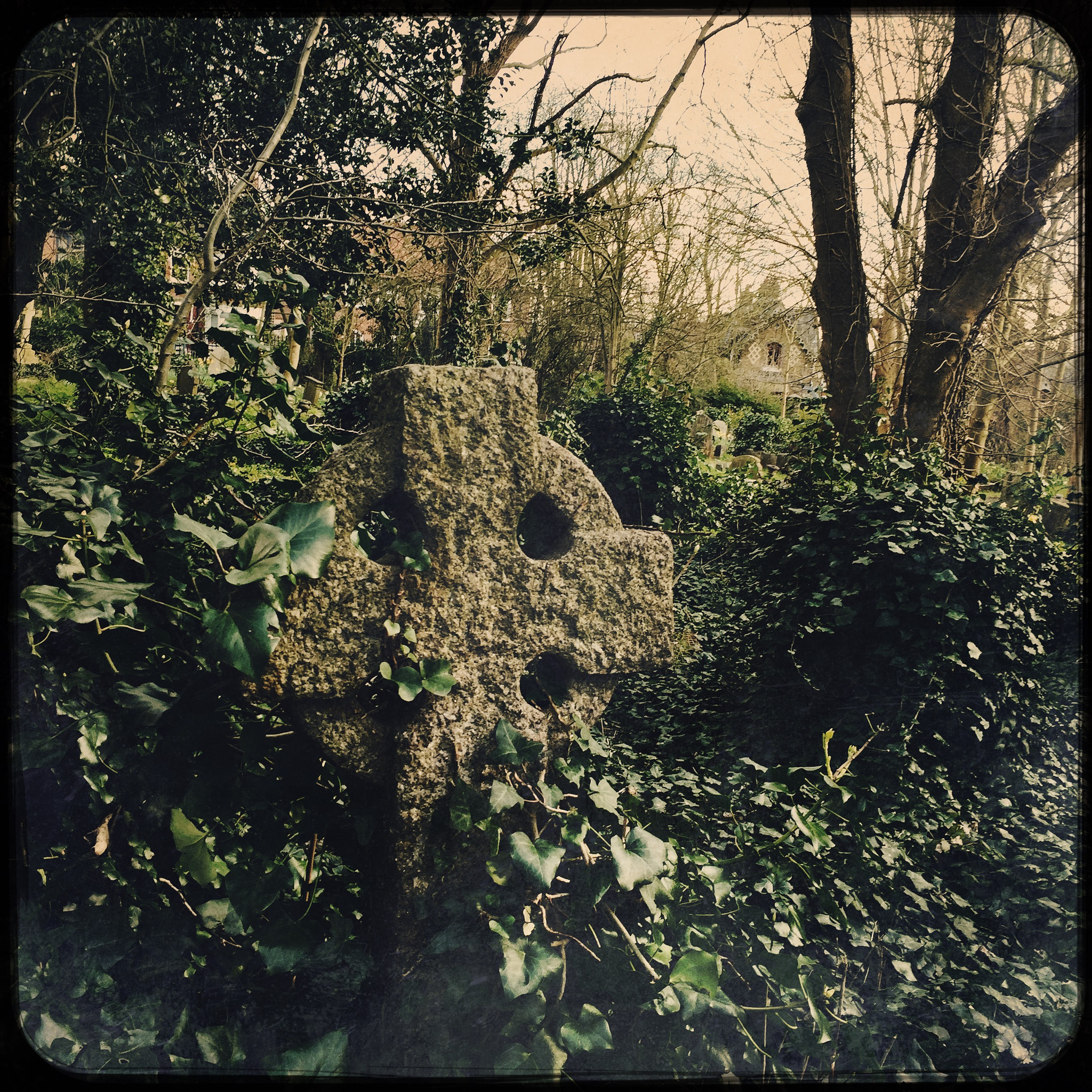 Hipstamatic 312 sample photo. Highgate cemetery photography