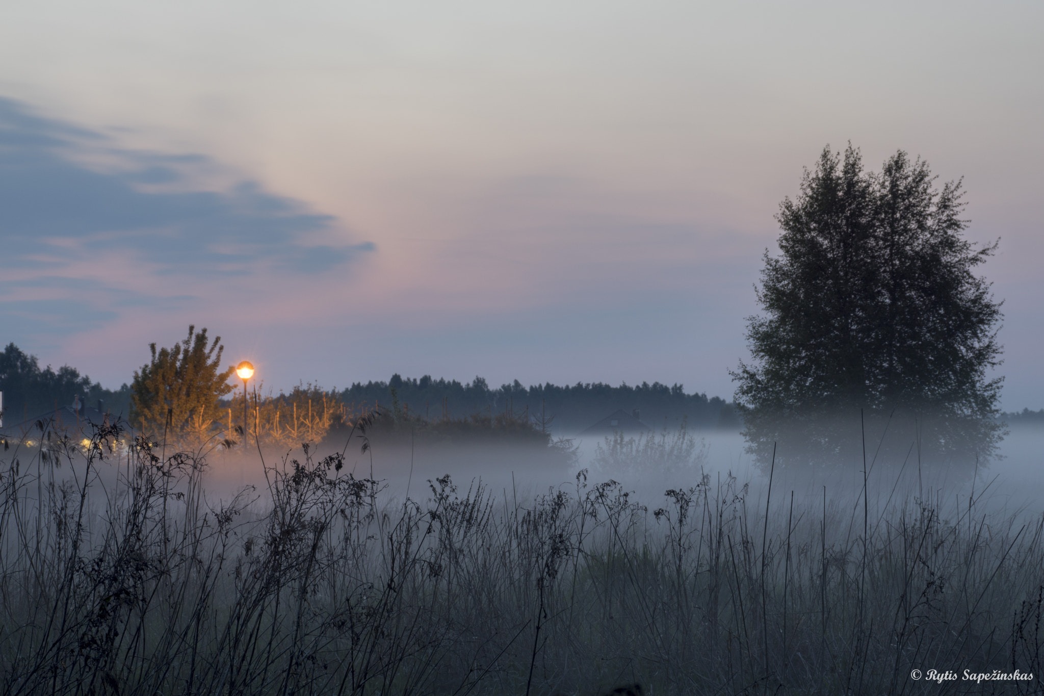 Sony DT 18-200mm F3.5-6.3 sample photo. Calm evening photography