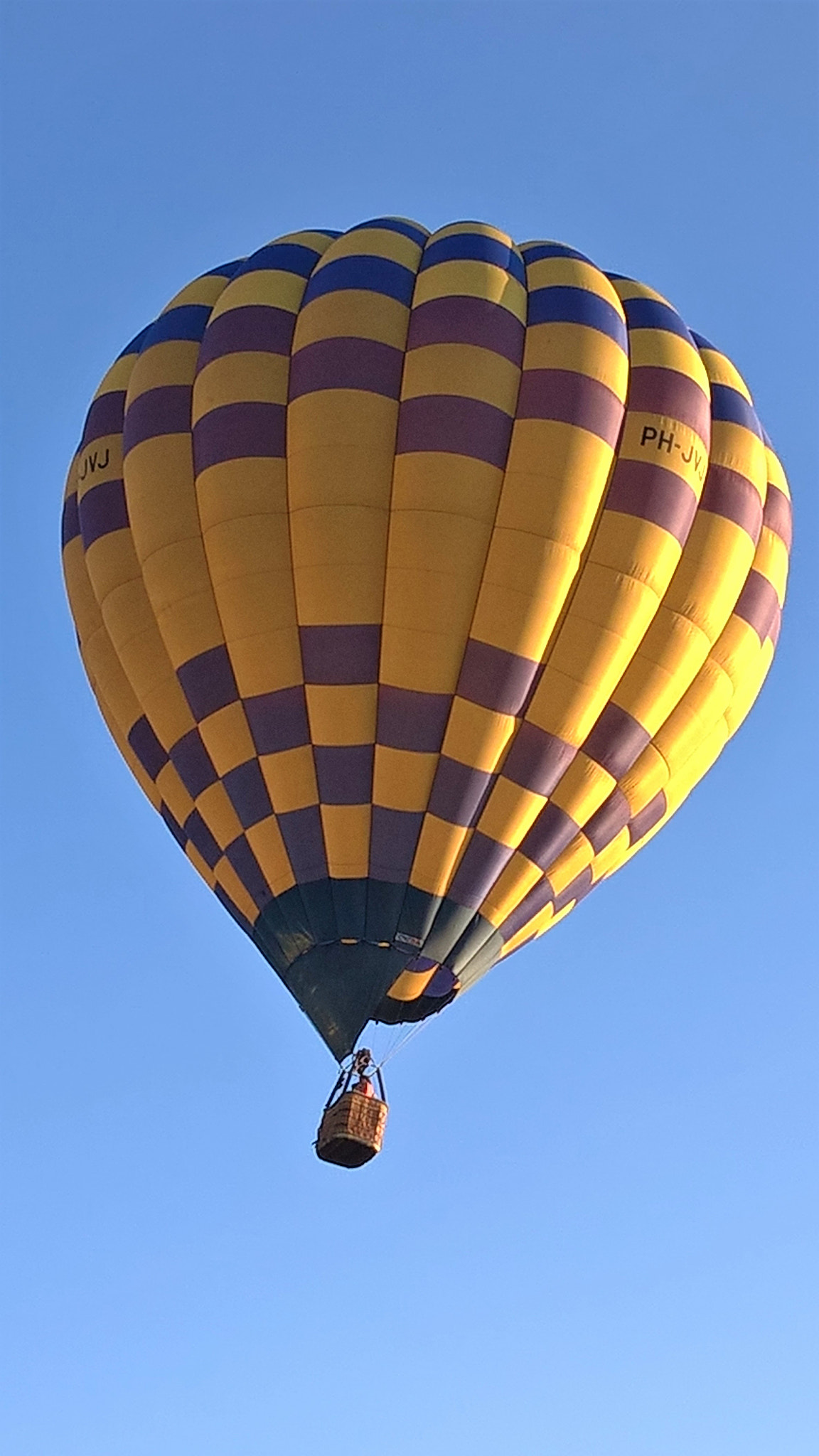 Microsoft Lumia 640 XL sample photo. Yellow balloon photography