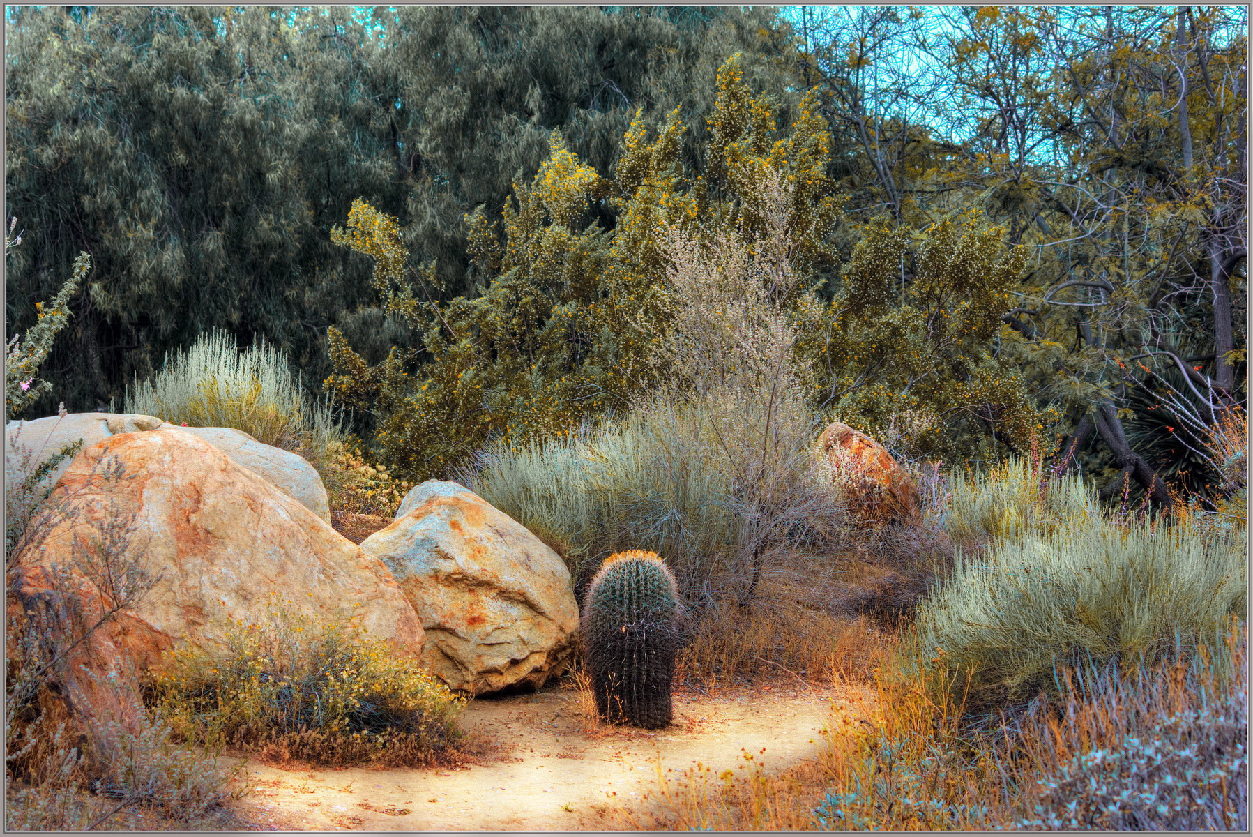 Sigma 70-300mm F4-5.6 APO Macro Super II sample photo. Desert photography