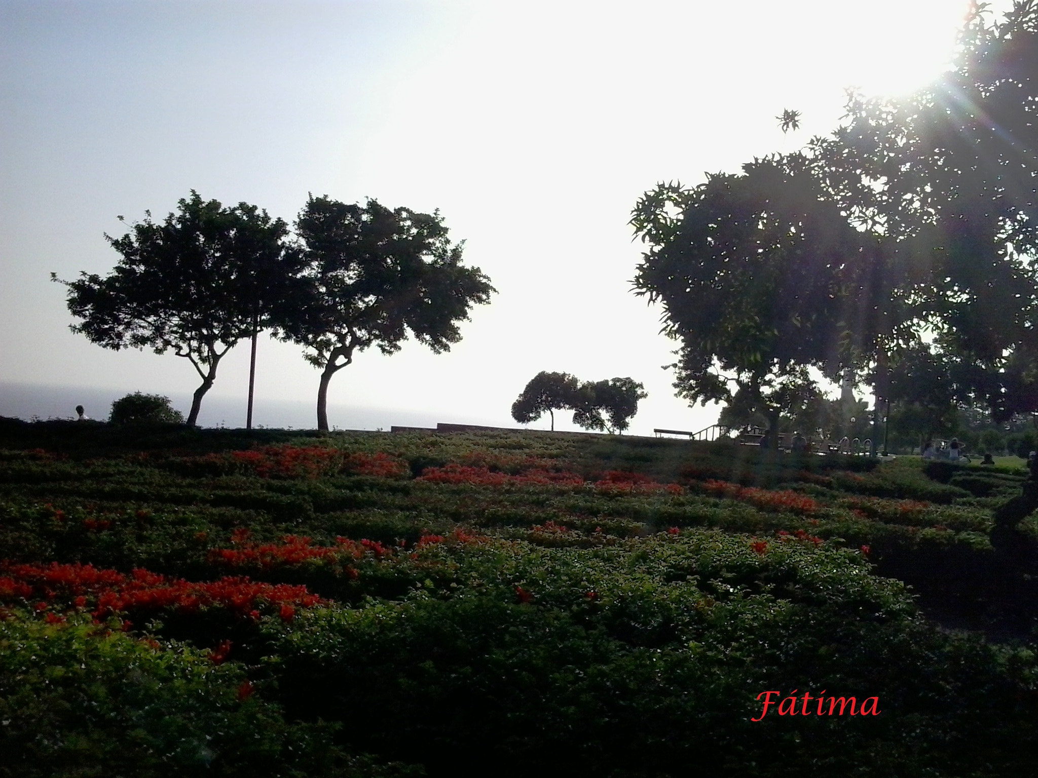 Samsung Galaxy Music Duos sample photo. Rayos del sol sobre el parque del faro photography