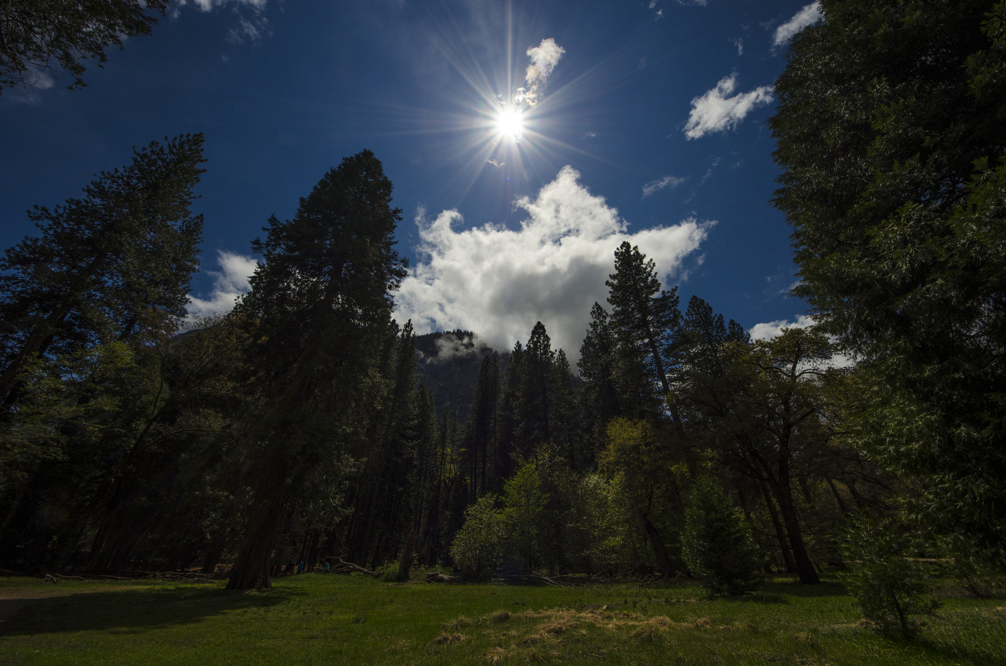 Nikon D7000 + Sigma 8-16mm F4.5-5.6 DC HSM sample photo. Yosemite national park photography