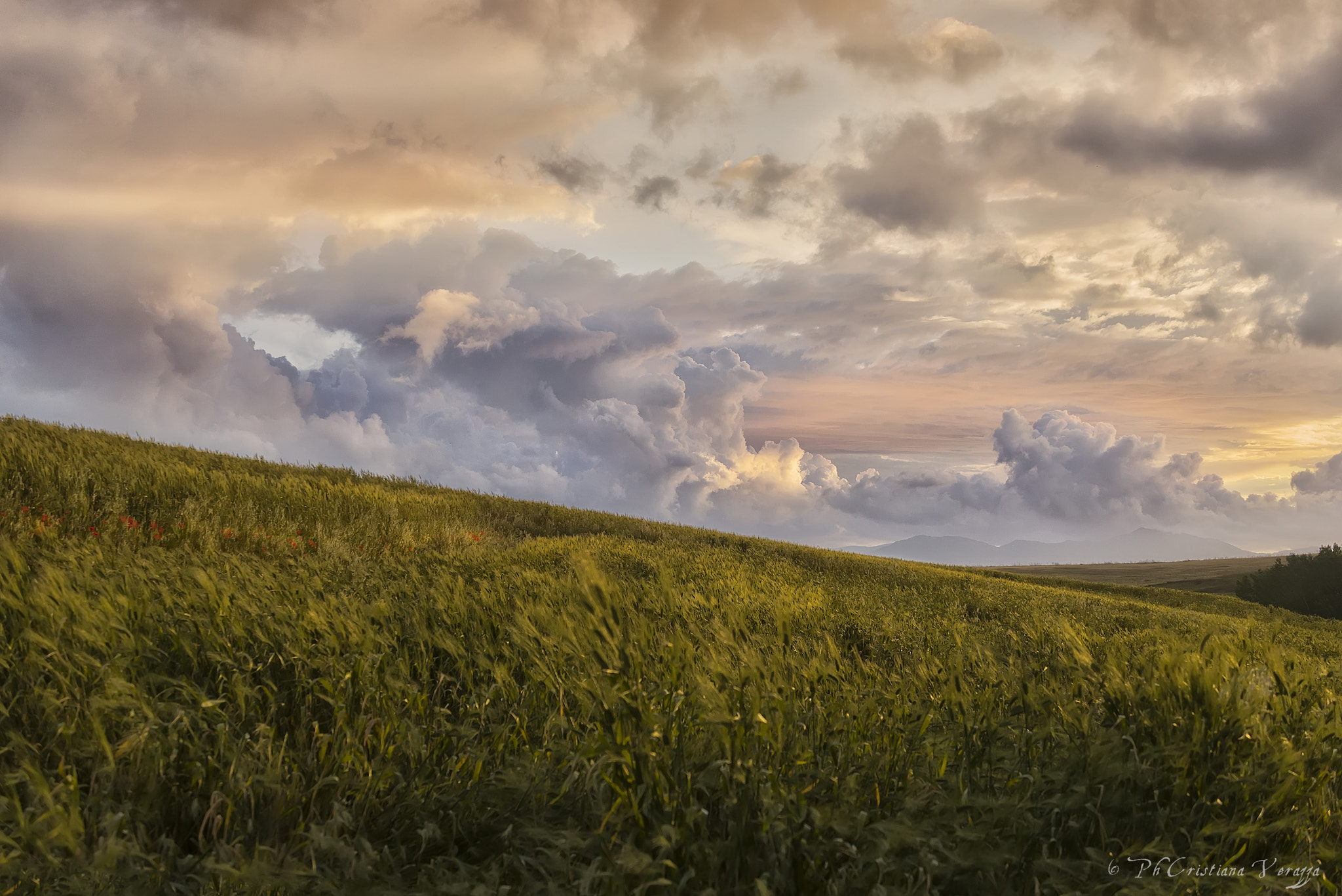 Sigma 50-500mm F4.5-6.3 DG OS HSM sample photo. Sky and earth photography