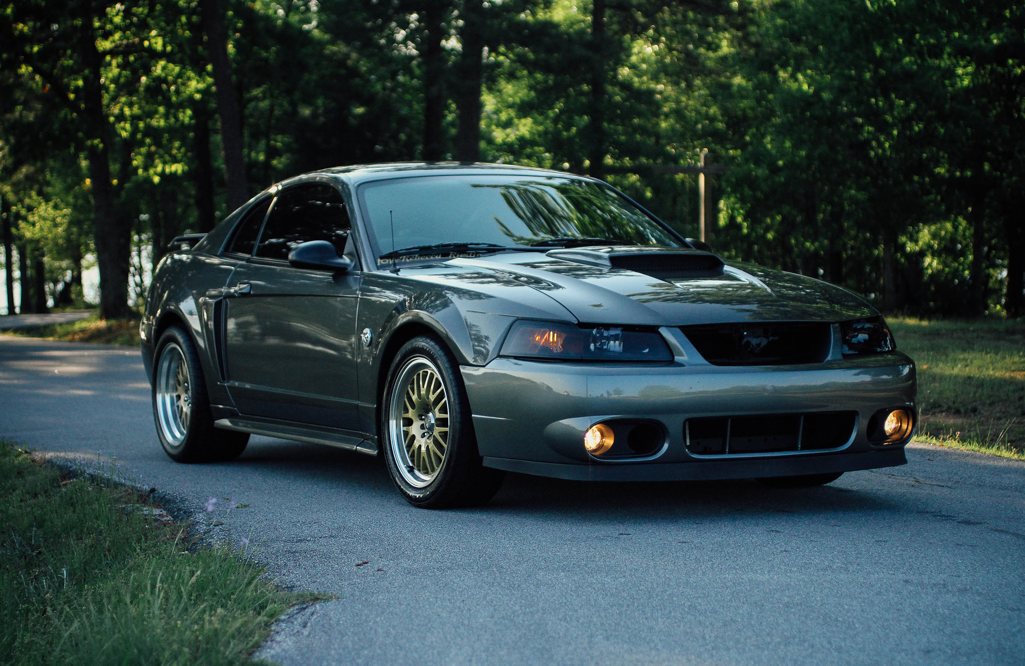 Canon EF 50mm F2.5 Macro sample photo. Dsg mustang. photography