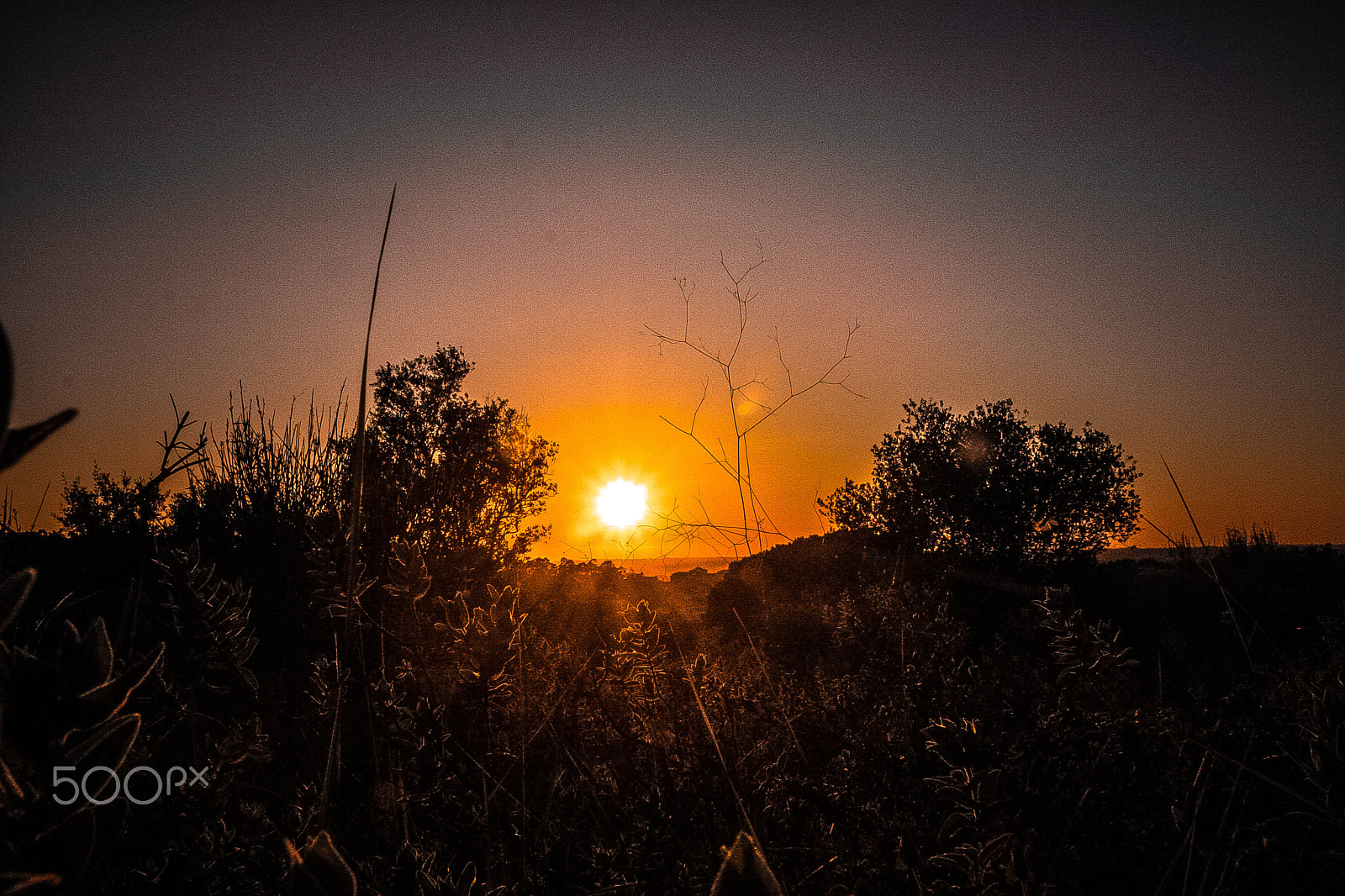 Canon EOS 40D sample photo. Nature with a magnificent sunset photography