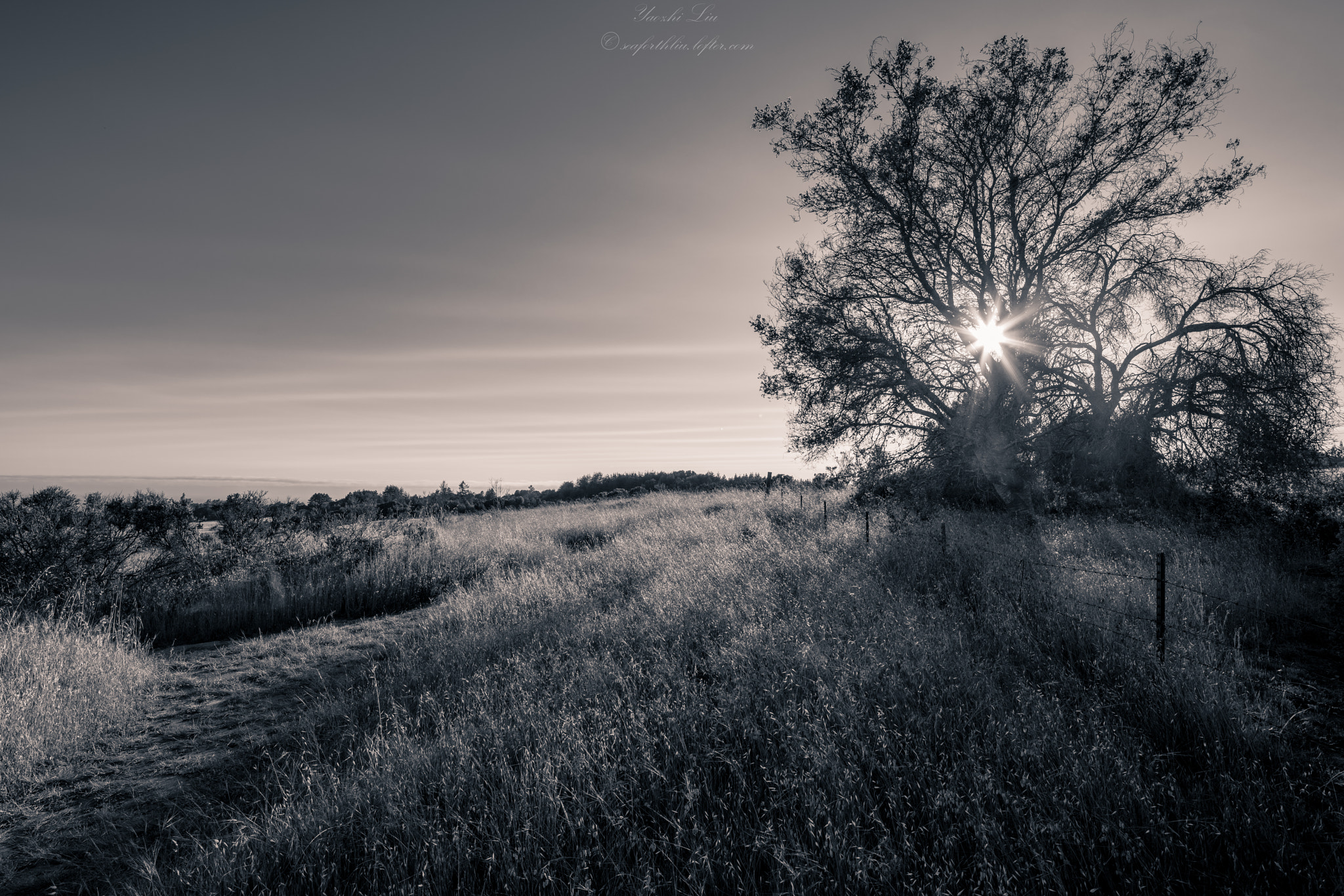 Canon TS-E 17mm F4L Tilt-Shift sample photo. Monochrome #2 photography