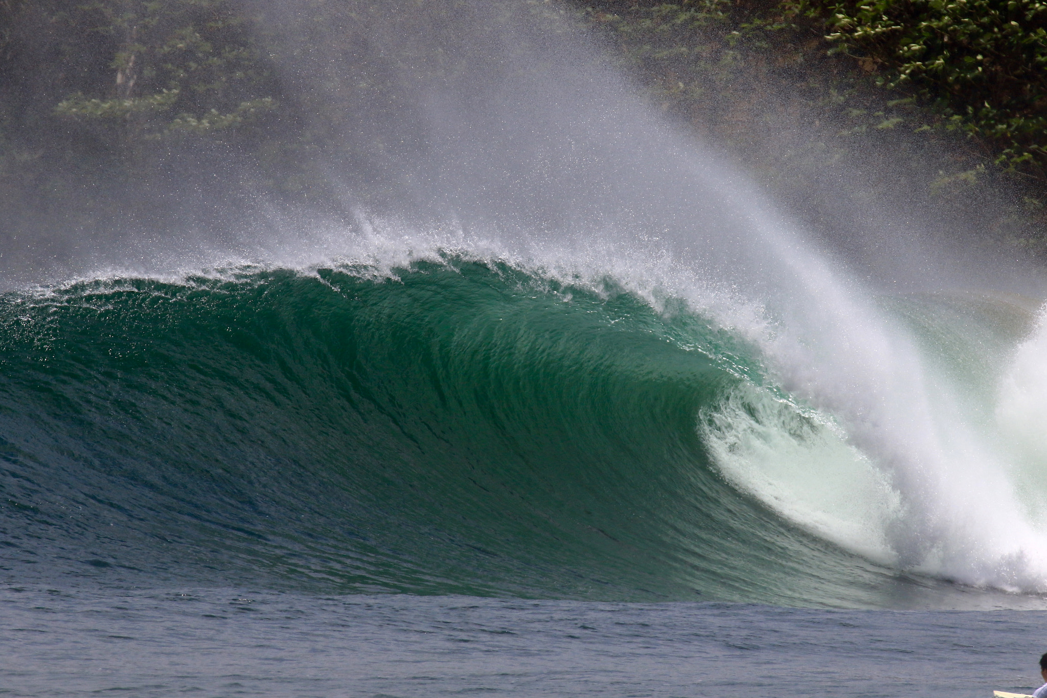 Canon EF 300mm F2.8L IS USM sample photo. Nica waves photography