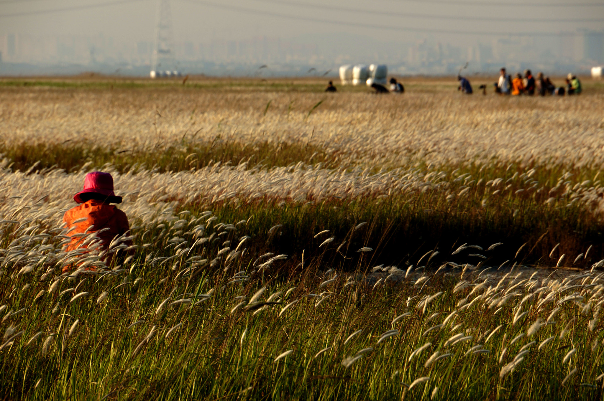 Sony E 18-200mm F3.5-6.3 OSS sample photo. Gleaners people for photo photography