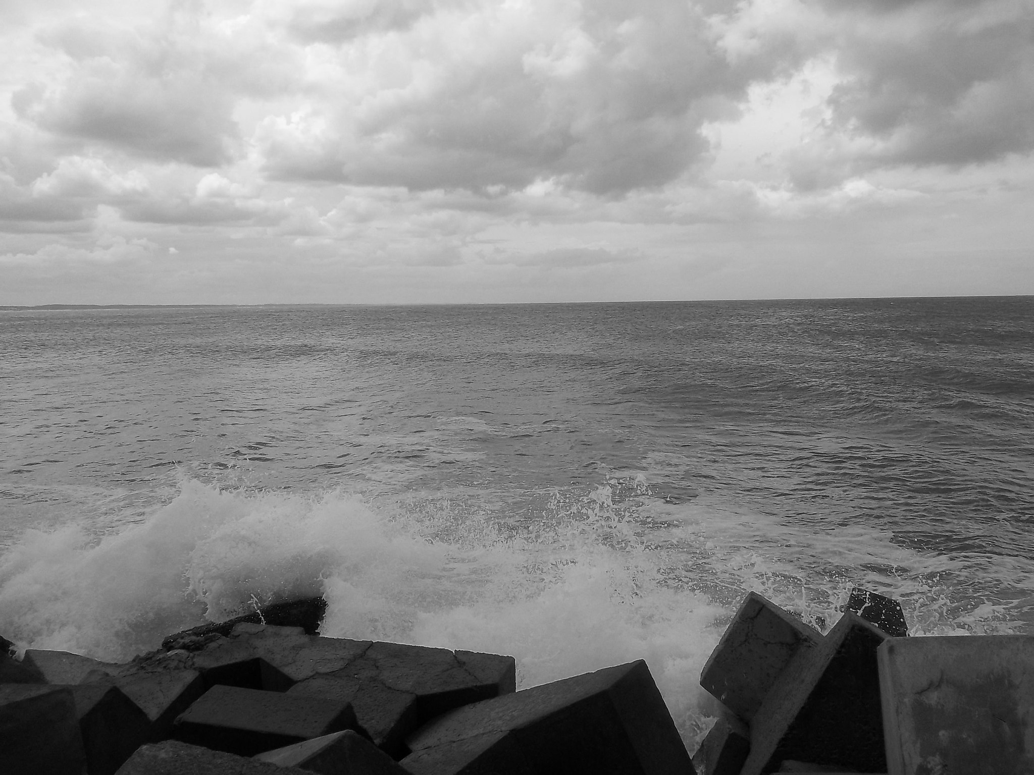 Kodak EASYSHARE C143 DIGITAL CAMERA sample photo. The fury photography