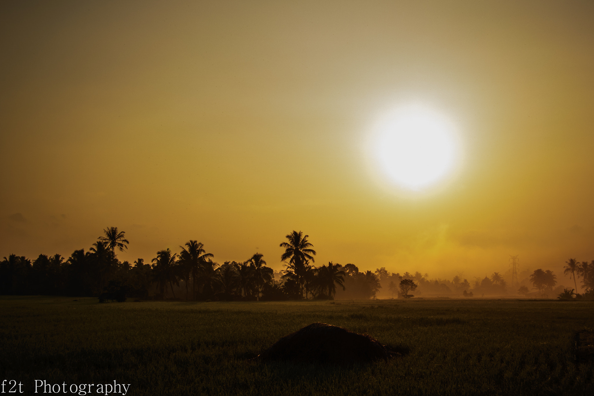 Nikon 1 V2 sample photo. Morning view photography
