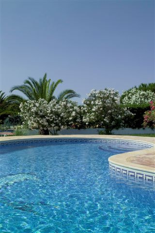 Kodak DCS Pro SLR/n sample photo. Villas in albufeira portugal  algarve rentals  casa surya photography