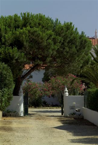 Kodak DCS Pro SLR/n sample photo. Villas in albufeira portugal  algarve rentals  casa surya photography