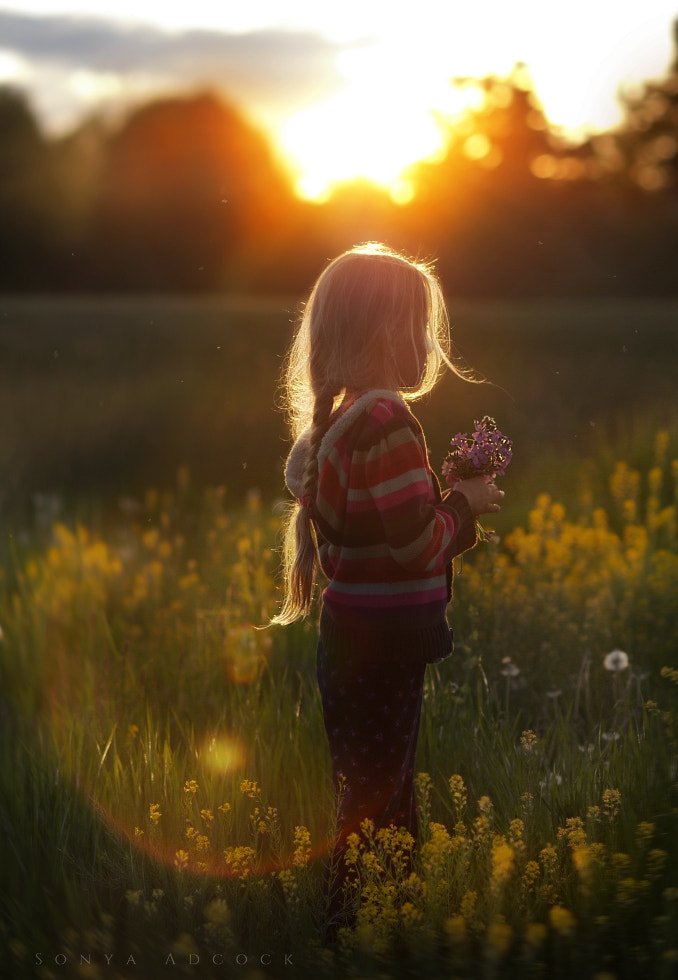 Nikon D700 + Nikon AF Nikkor 105mm F2D DC sample photo. Day's end photography
