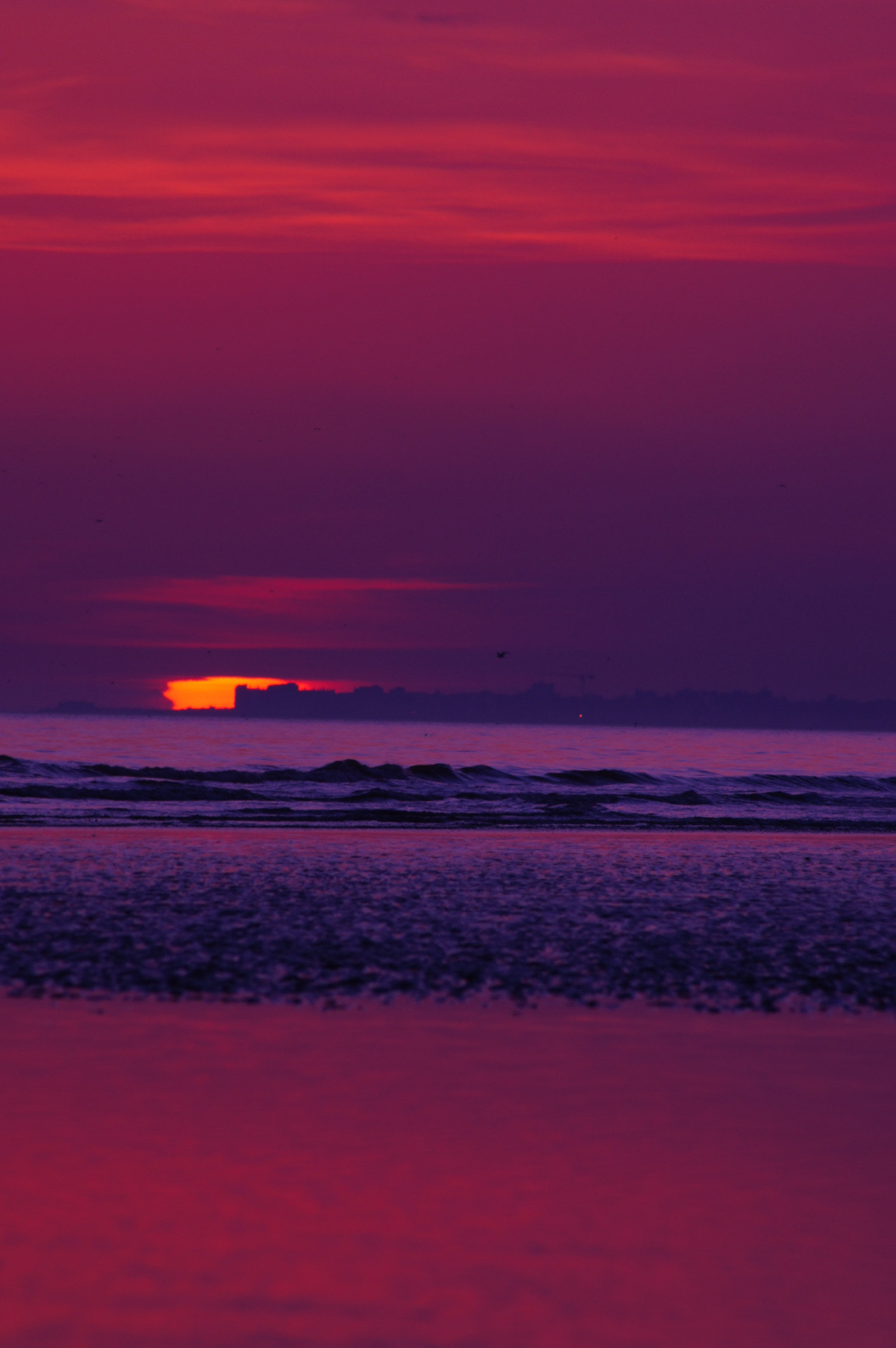 Sony 75-300mm F4.5-5.6 sample photo