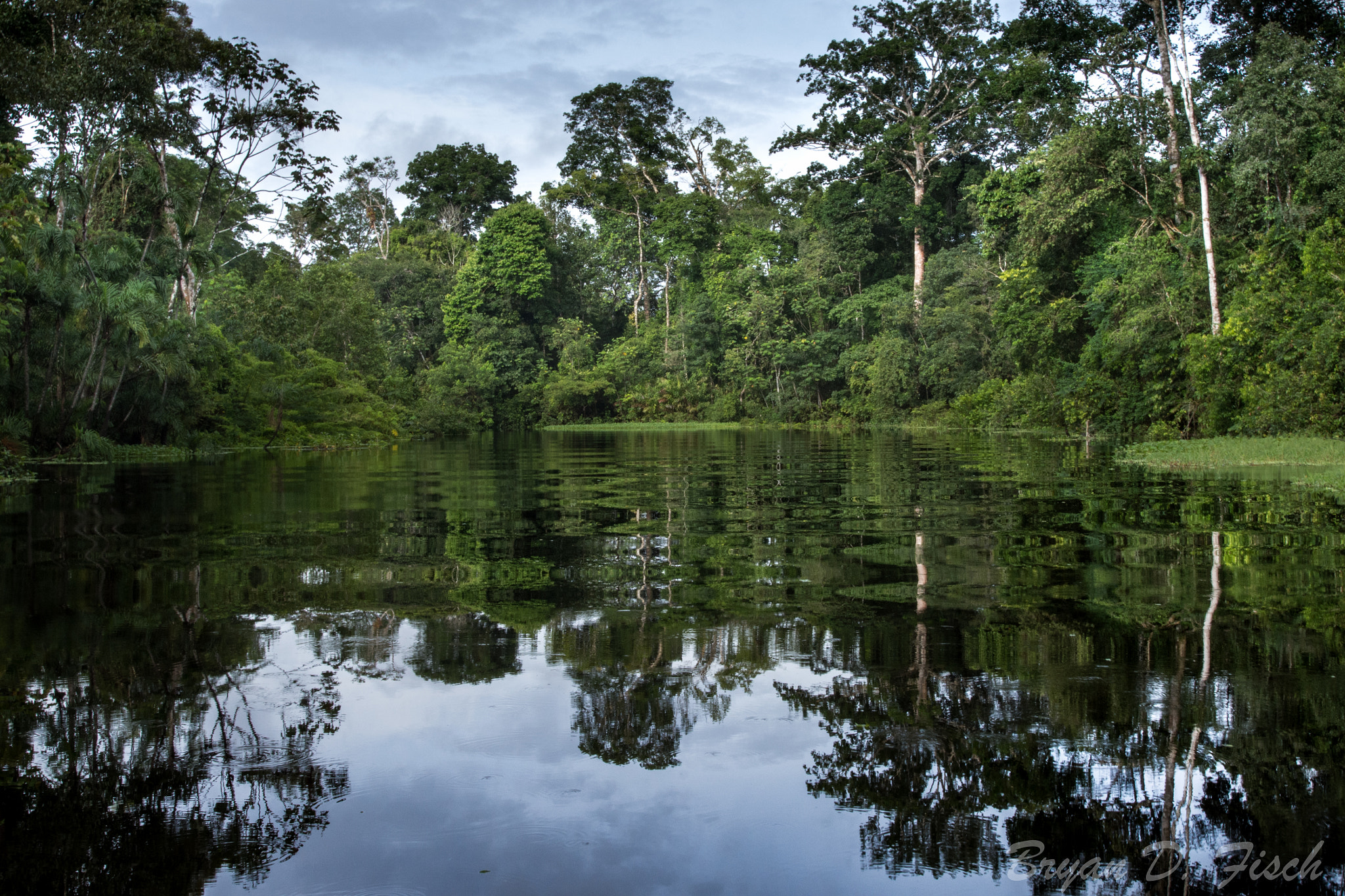 Nikon AF-S Nikkor 14-24mm F2.8G ED sample photo. Reflection pond photography