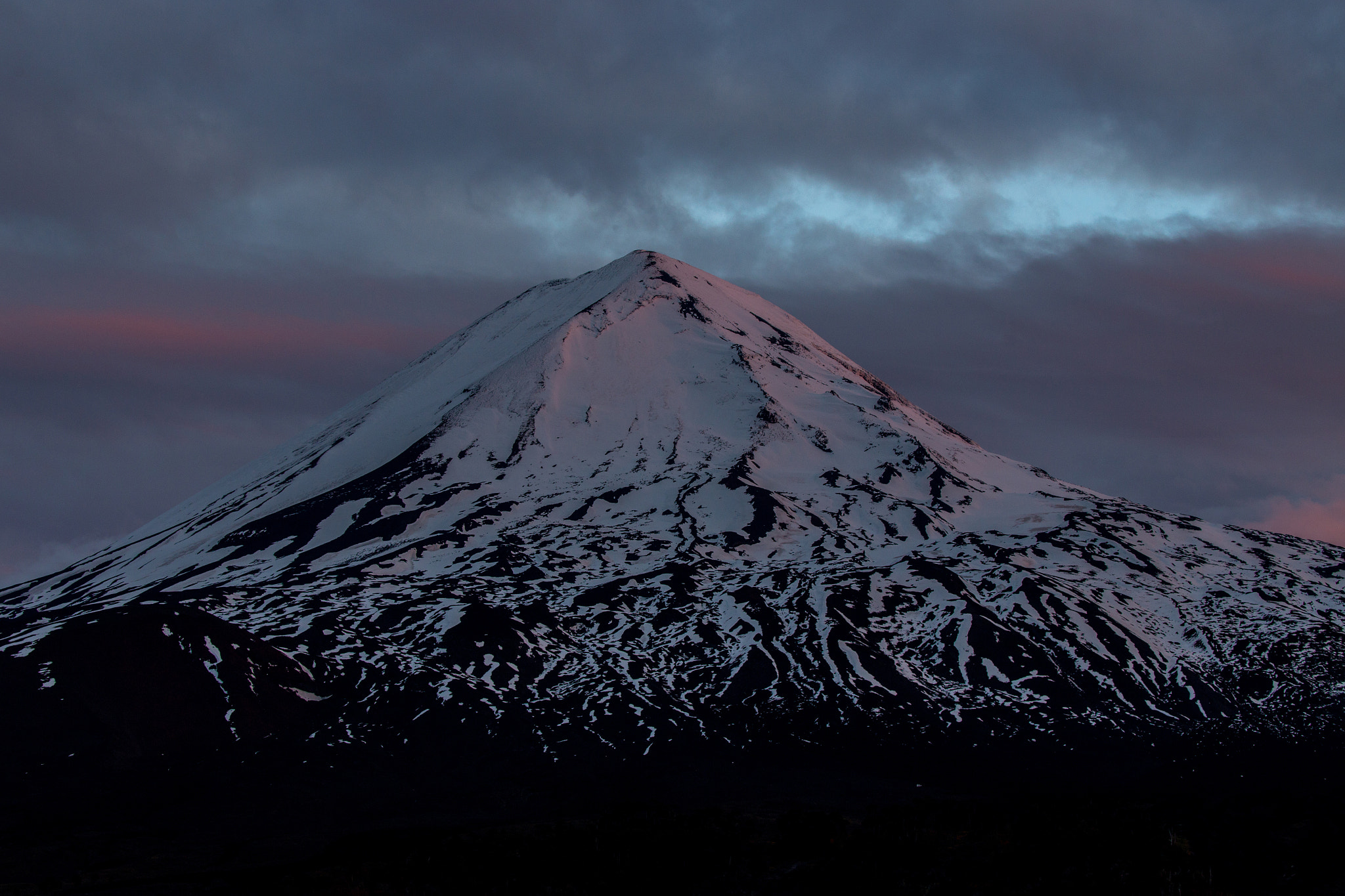 Canon EF 100-400mm F4.5-5.6L IS II USM sample photo. Araucania photography