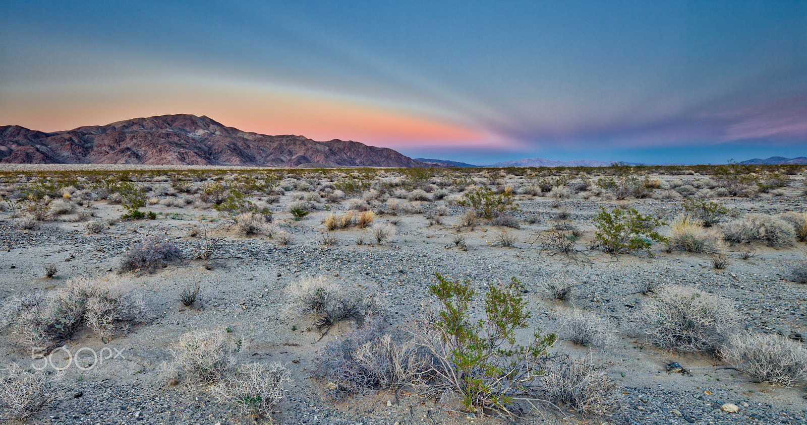 Canon TS-E 24.0mm f/3.5 L II sample photo. Joshua tree photography
