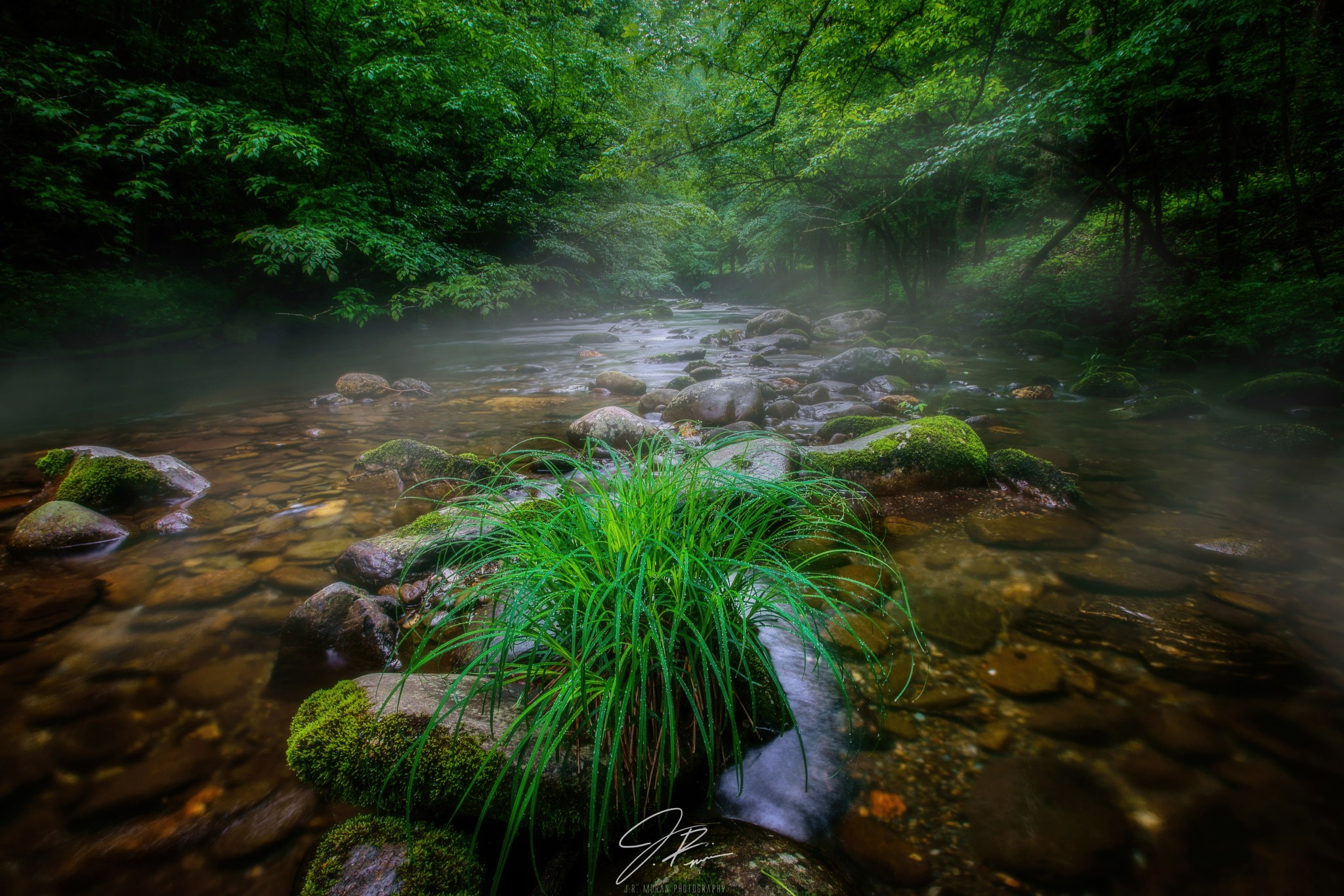 16-35mm F2.8 G SSM II sample photo. Smoky mountain morning photography