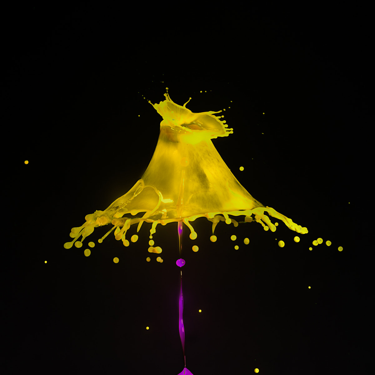 Nikon D810 + Nikon AF Micro-Nikkor 200mm F4D ED-IF sample photo. Double collision photography