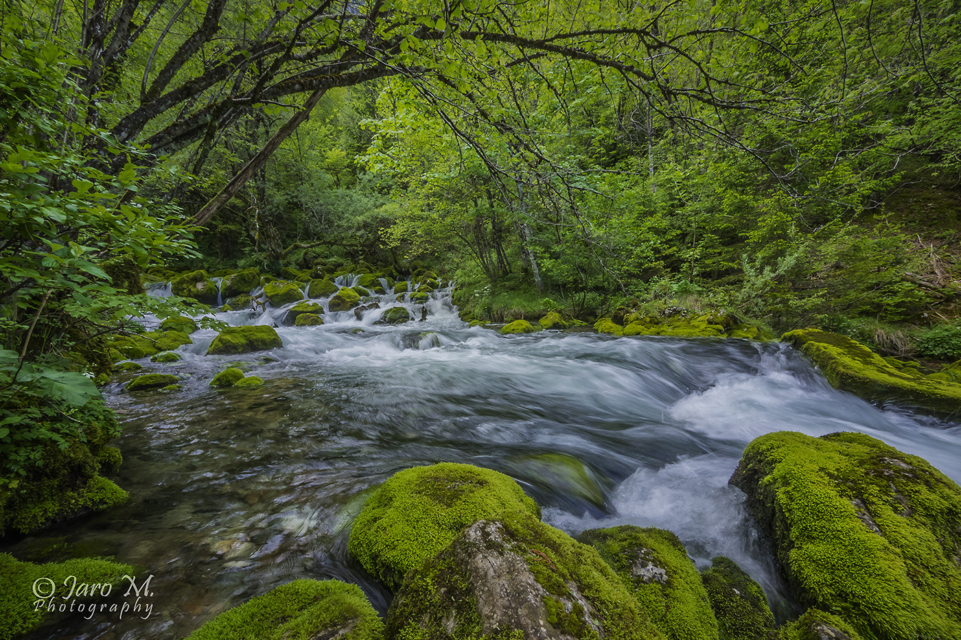 Olympus OM-D E-M1 + Panasonic Lumix G Vario 7-14mm F4 ASPH sample photo. Green stones photography