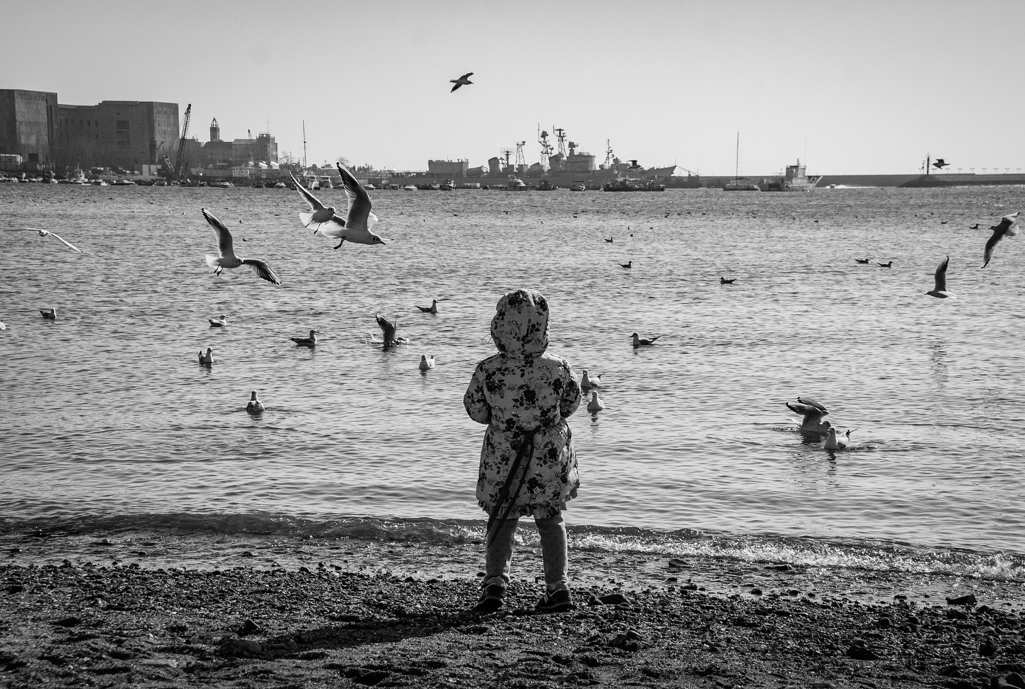 Canon EOS 40D sample photo. Girl and seagulls photography