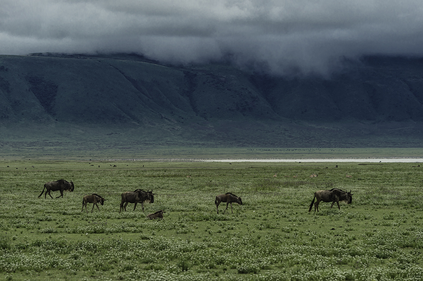 Nikon D4S sample photo. Free in the crater photography