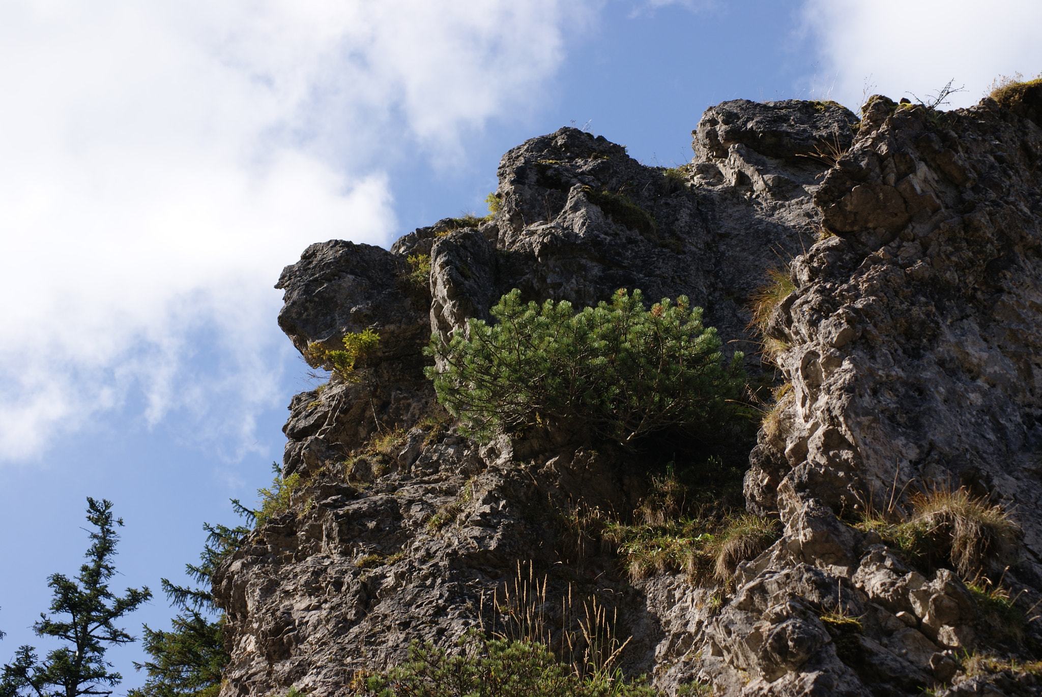 Sony DT 55-200mm F4-5.6 SAM sample photo. Moutain_2 photography