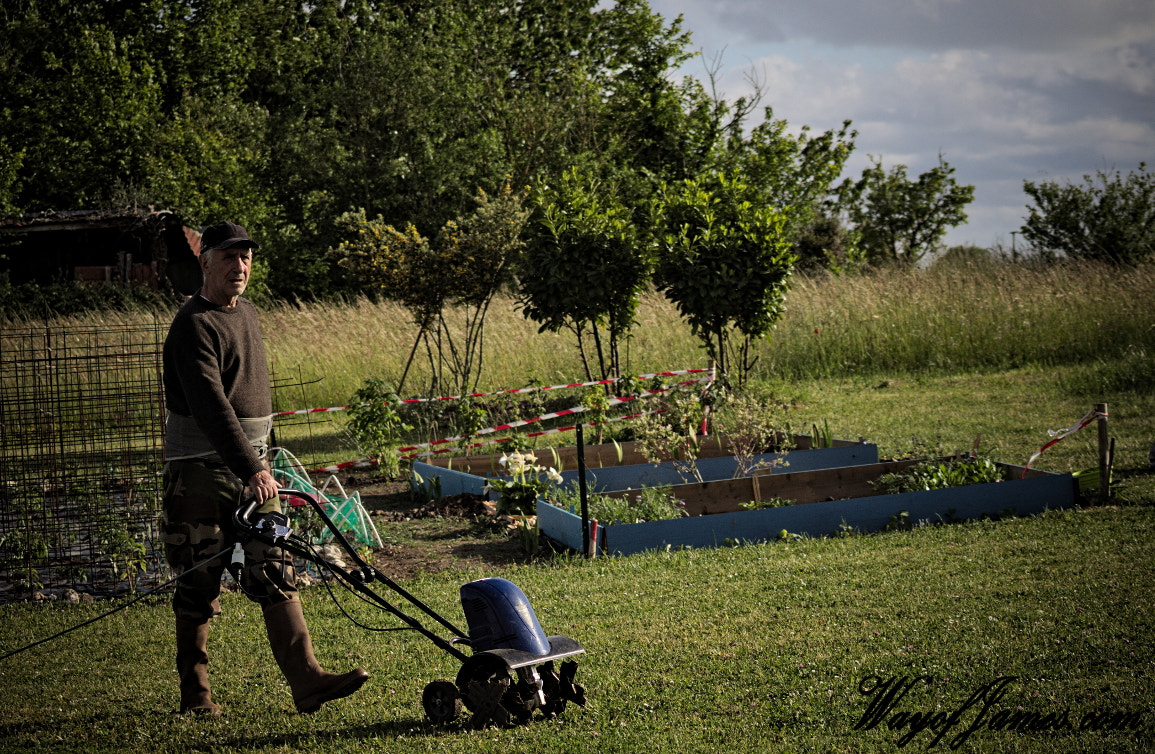 Sigma 70-300mm F4-5.6 APO DG Macro sample photo. Gentleman farmer photography