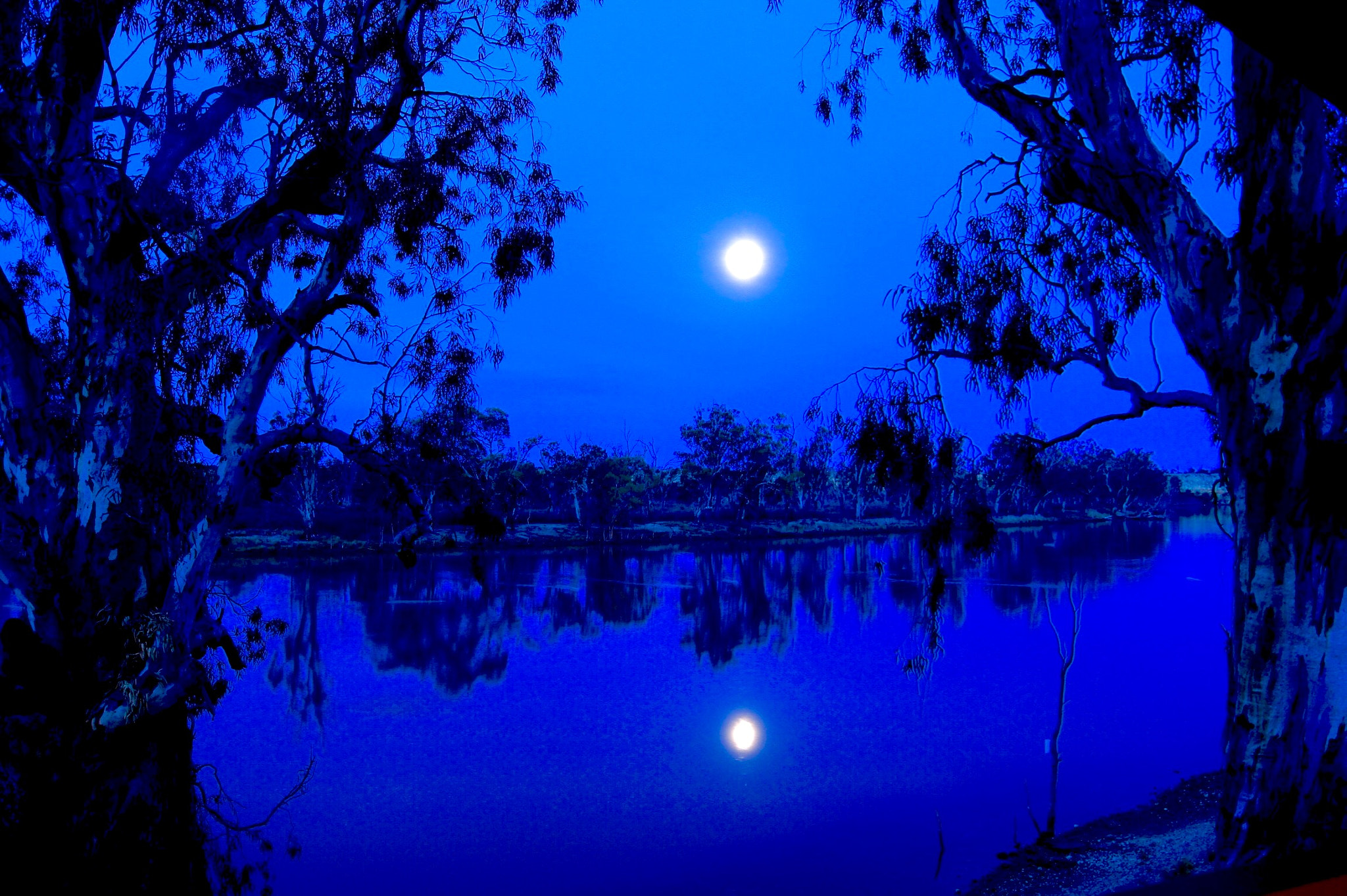 Sony DT 18-55mm F3.5-5.6 SAM II sample photo. Moon photography